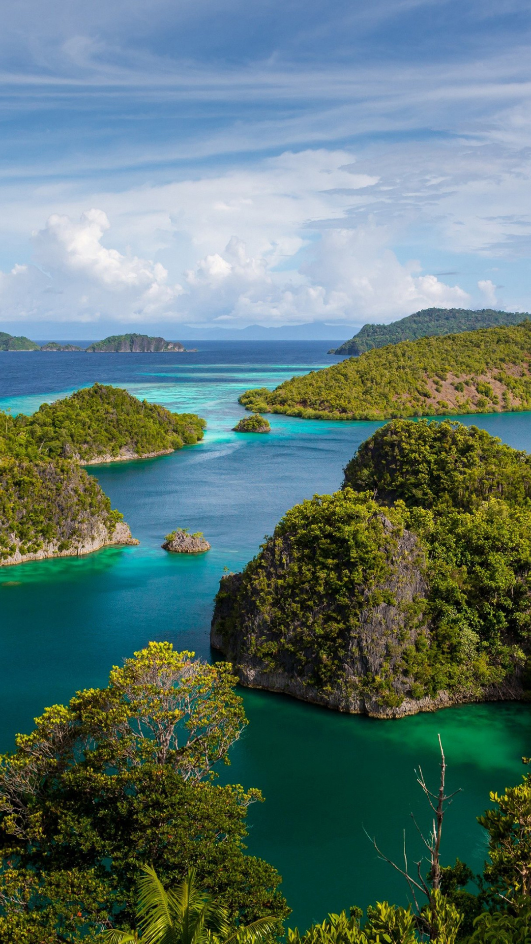 Exotic Raja Ampat, Tropical islands, Palm trees and ocean, Enchanting wallpapers, 1080x1920 Full HD Phone