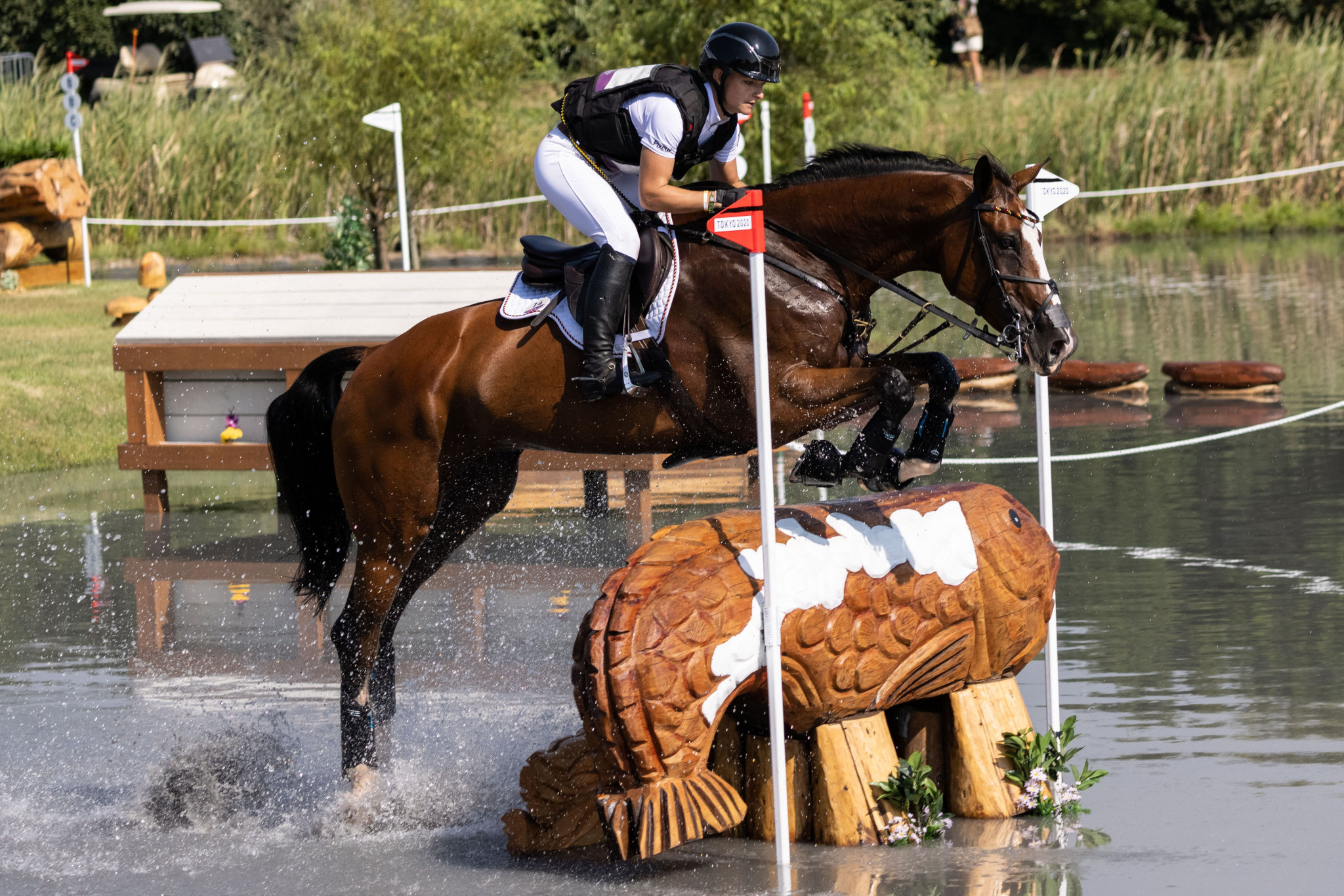 Krajewski solo Olympic, Eventing gold, Team title, British eventing, 2050x1370 HD Desktop