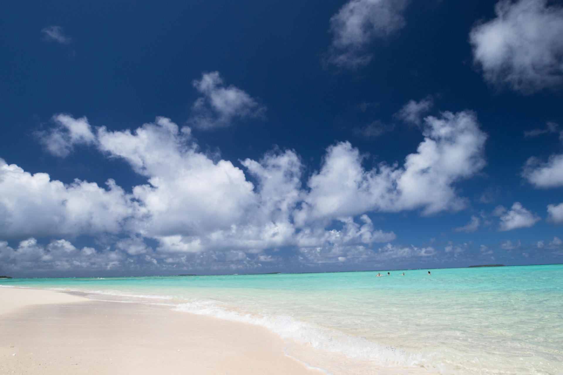 Tonga travels, Dance with whales, Exhilarating experience, Ocean spectacle, 1920x1280 HD Desktop