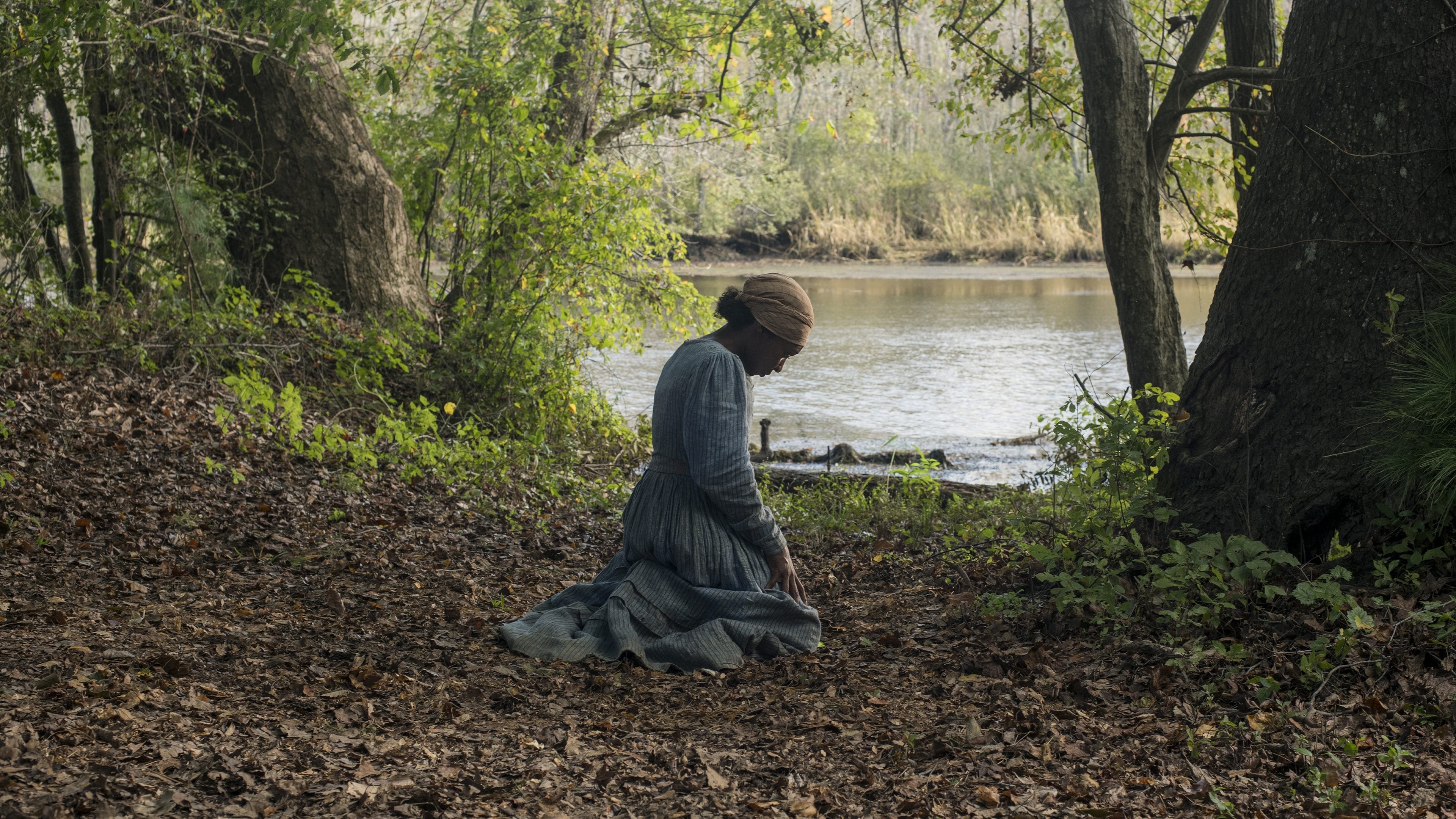 Harriet (2019 Movie), Path to freedom, Historical drama, The Movie Database (TMDB), 3840x2160 4K Desktop