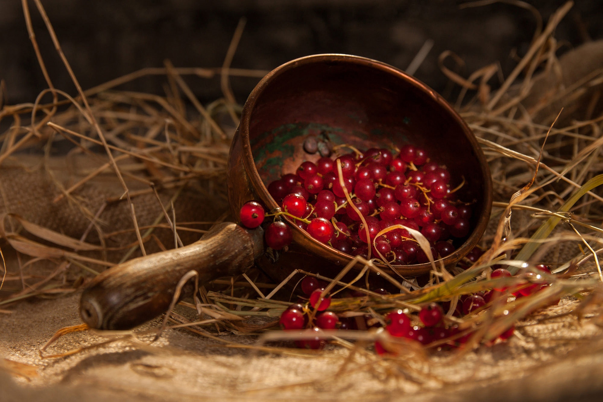 Currants, HD wallpaper, Background image, 2000x1340 HD Desktop