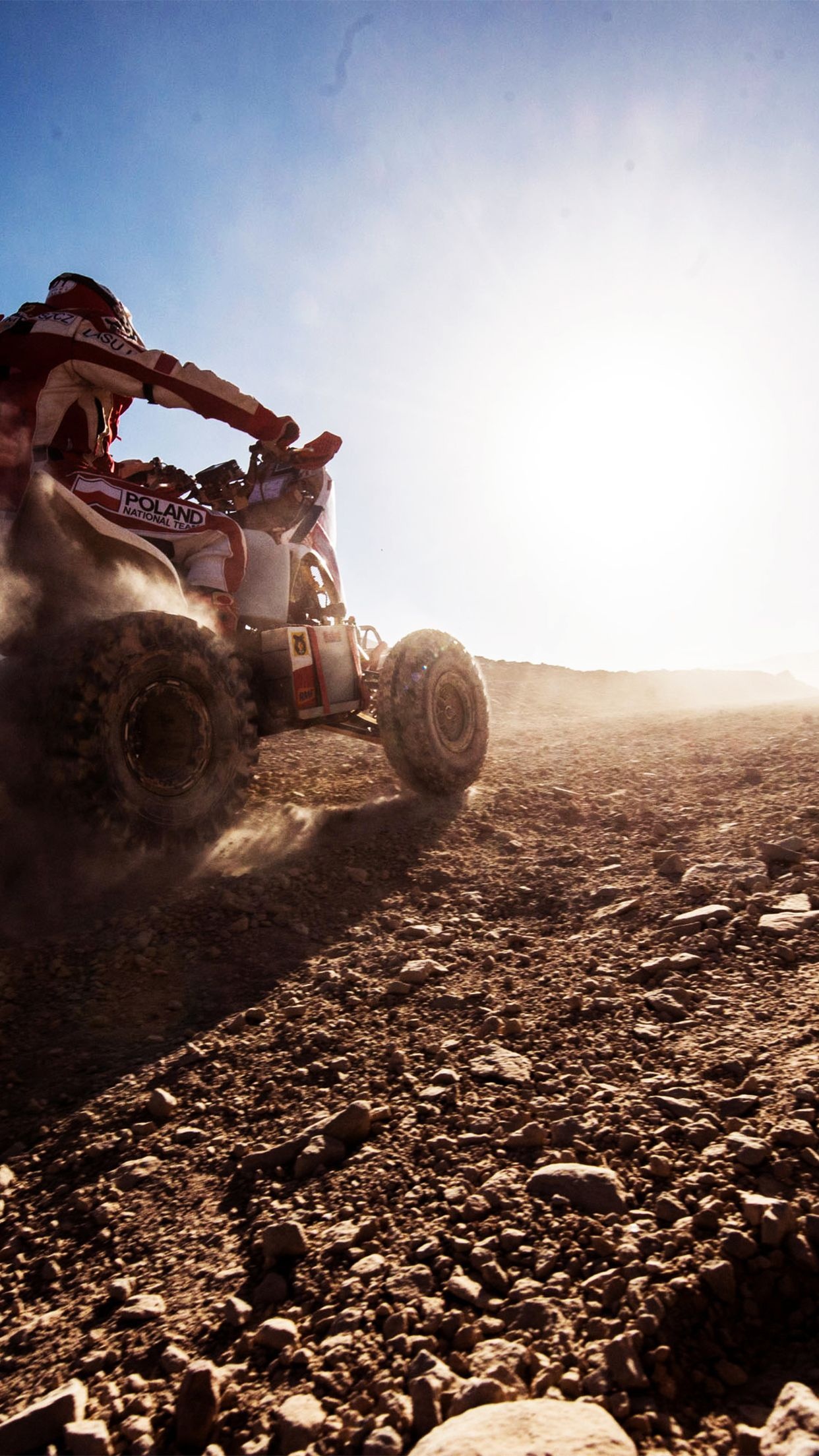 Yamaha Raptor 700, ATV Wallpaper, 1250x2210 HD Phone