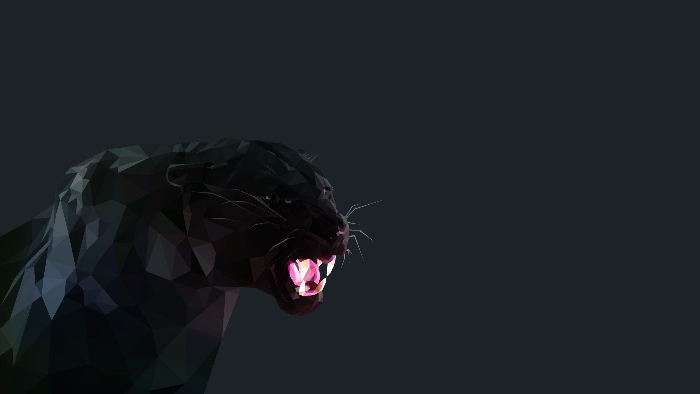 Roar, Black Panthers Wallpaper, 2400x1350 HD Desktop