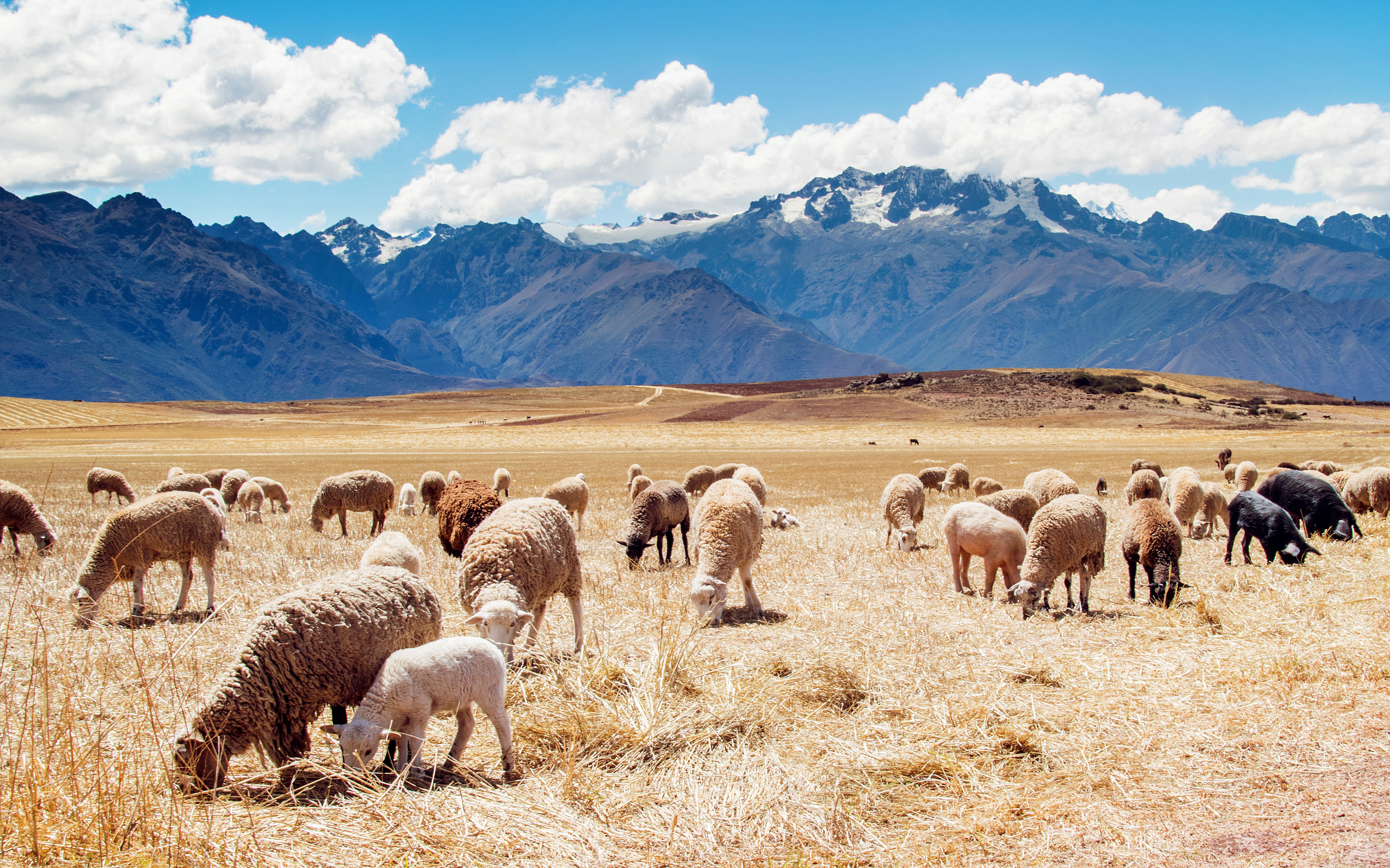 Peru's breathtaking 4K wallpapers, Choice backgrounds, Stunning visual scenery, Peru's natural beauty, 2880x1800 HD Desktop