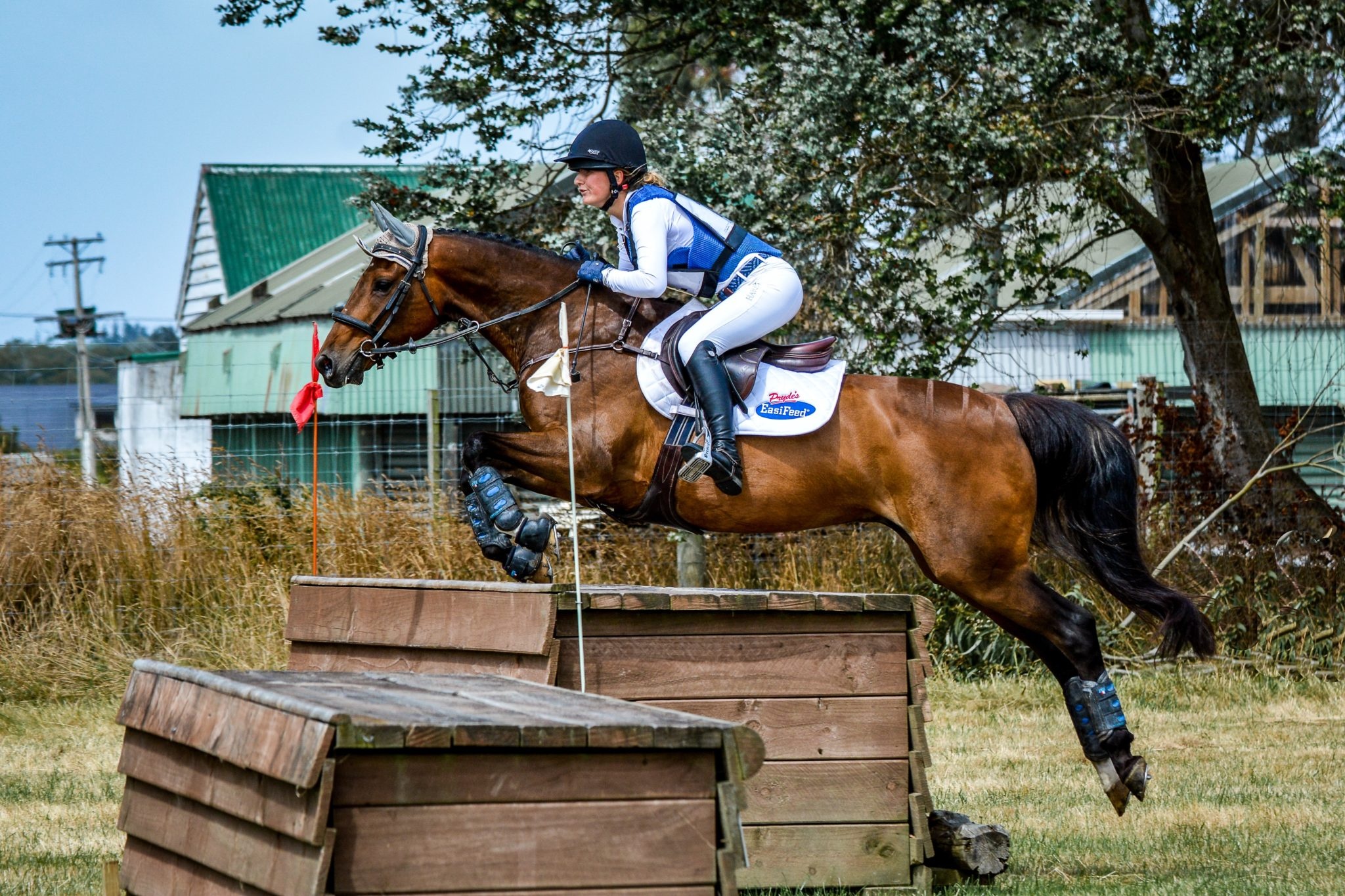 ESNZ inter schools team, Eventing, Equestrian, Gold rush, 2050x1370 HD Desktop