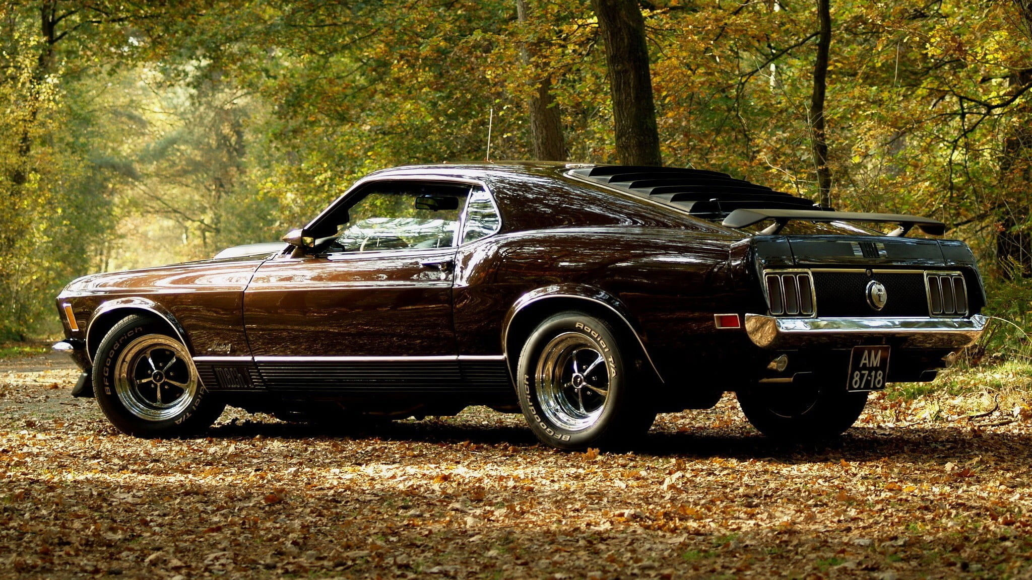 1970 Ford Mustang Mach 1, BFGoodrich Radial T/A, autumn forest, HD Desktop wallpaper