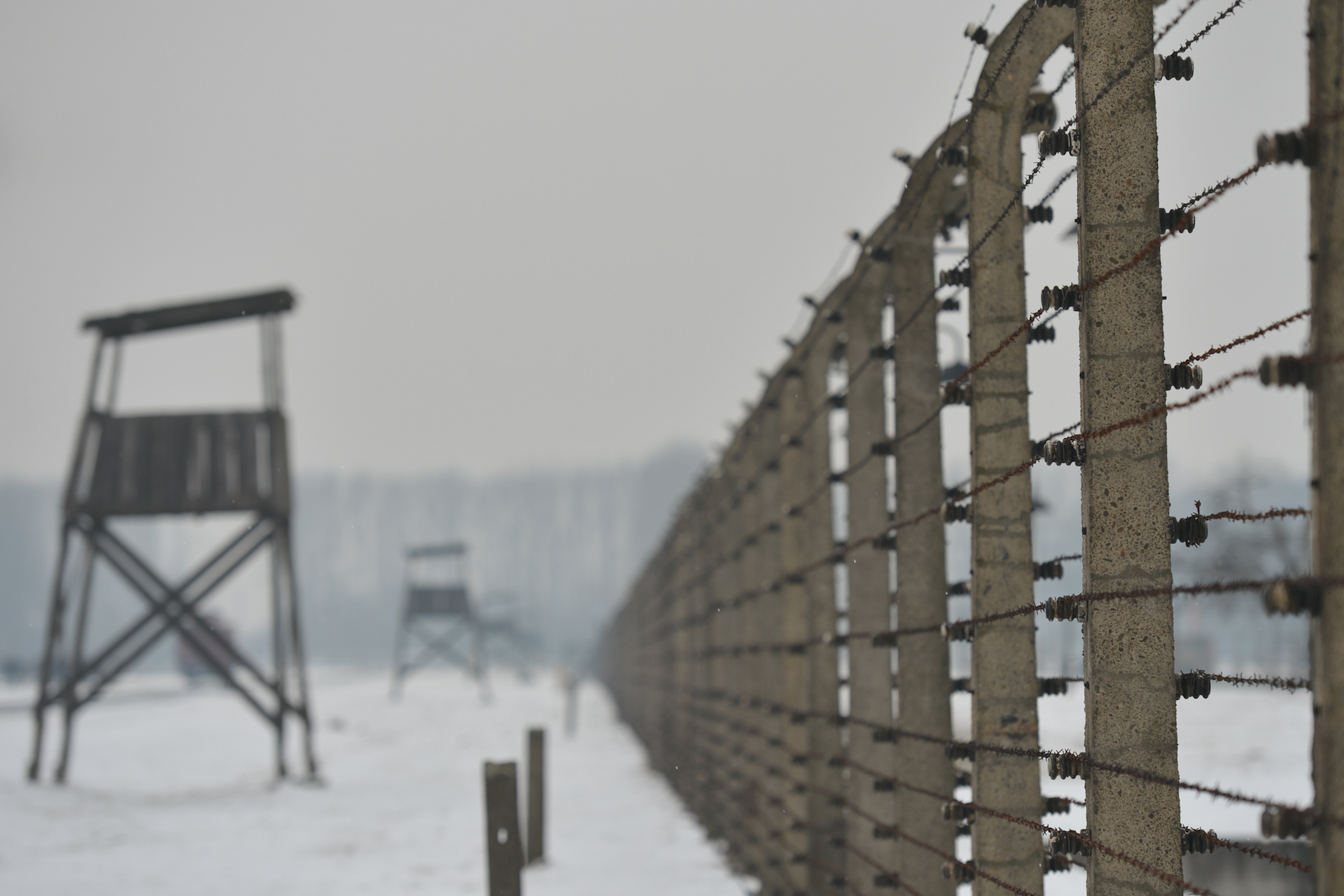 Auschwitz, Poland participation, Holocaust ban, Public diplomacy, 1920x1280 HD Desktop