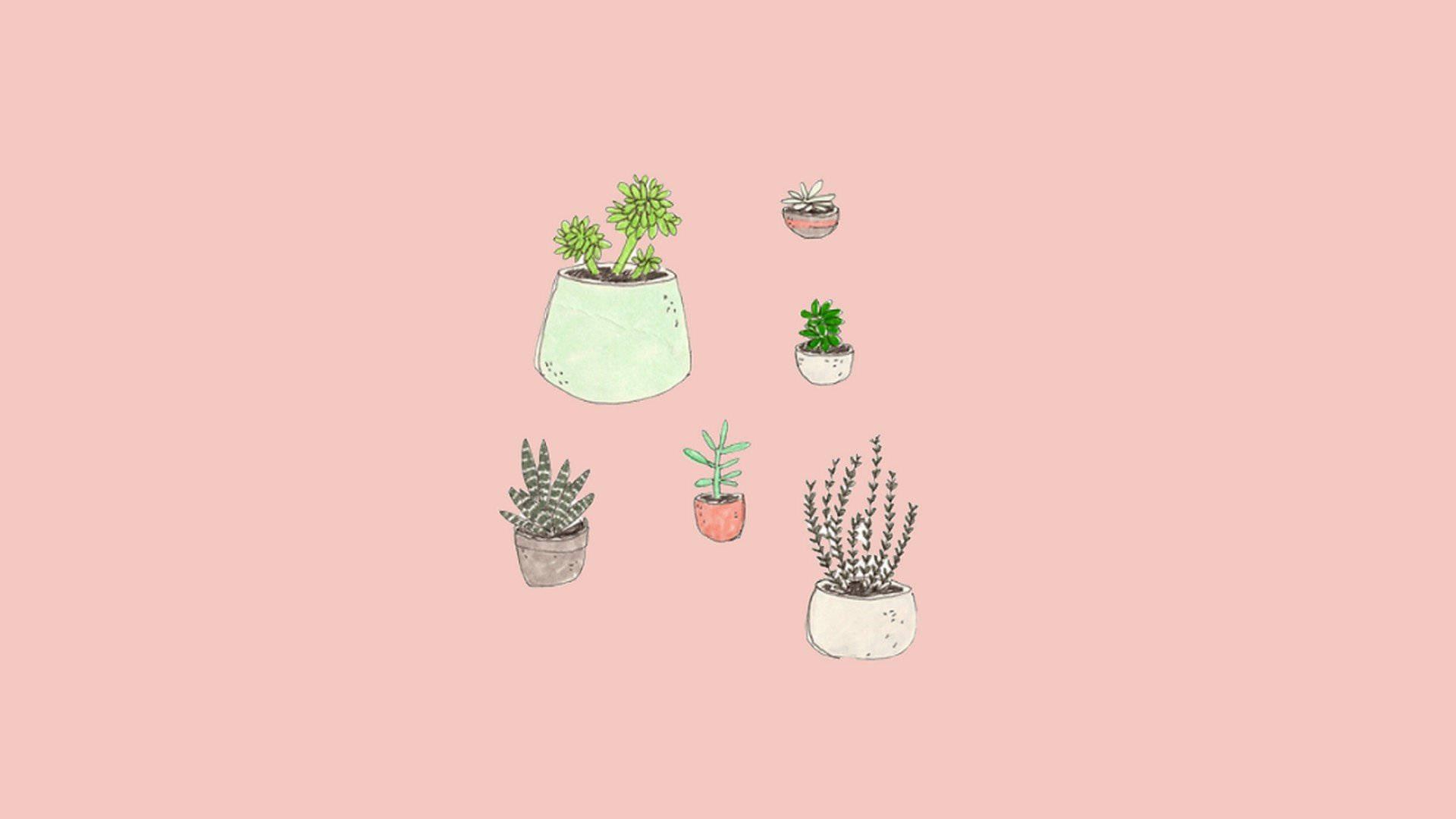 Potted plants, Cute Computer Wallpaper, 1920x1080 Full HD Desktop