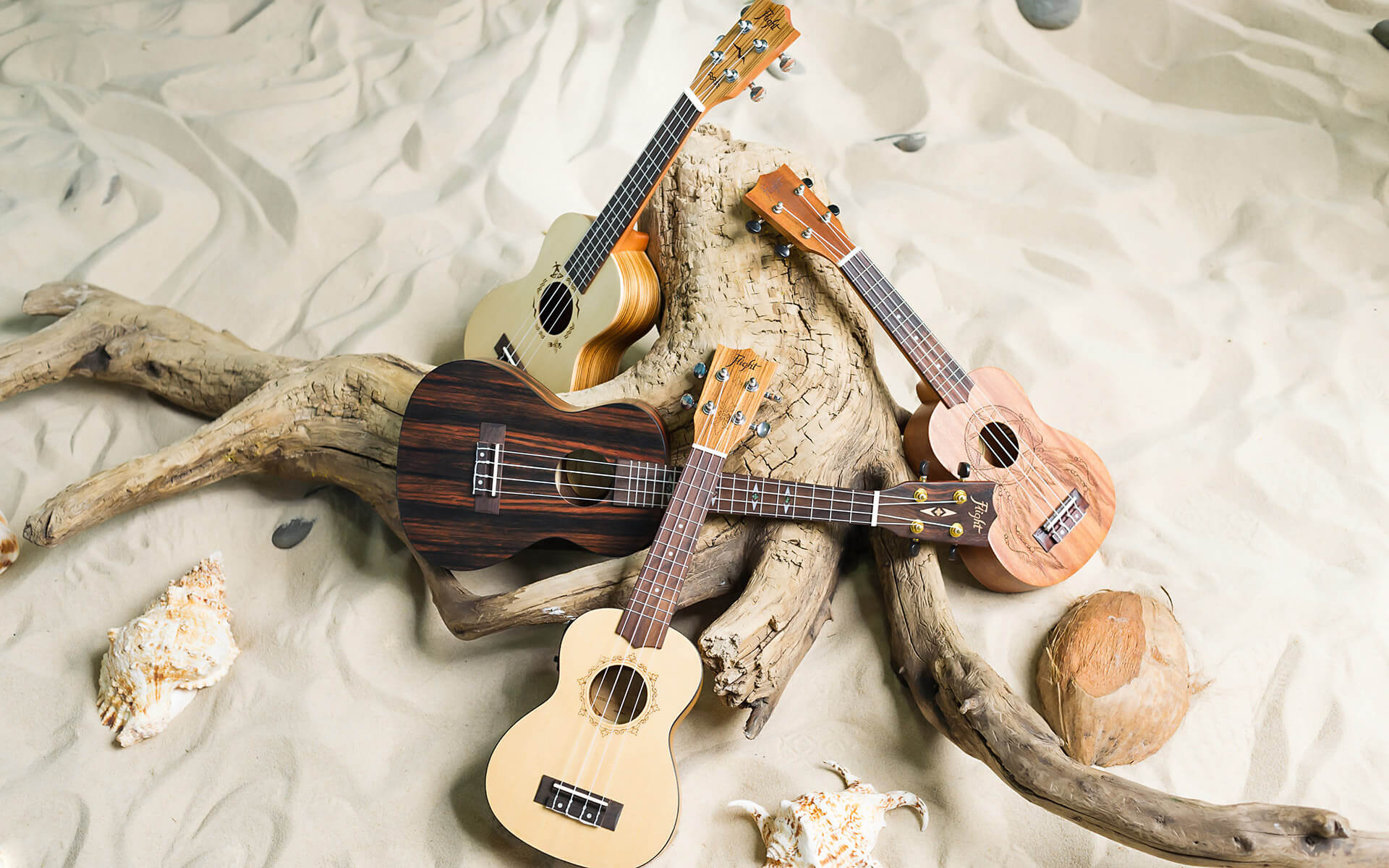 Flight of ukuleles, Musical freedom, Soaring melodies, Musical journey, 1920x1200 HD Desktop