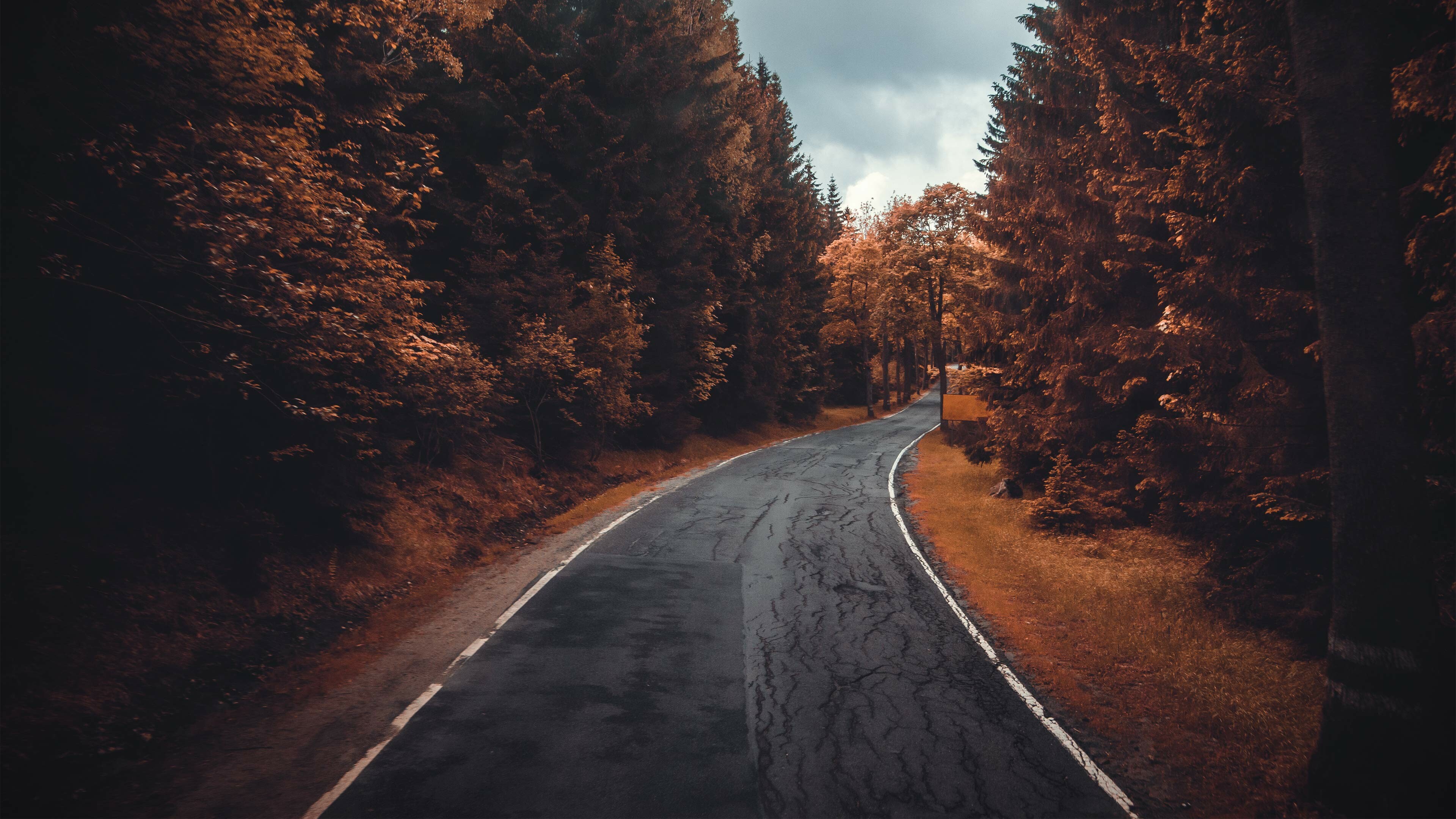 Road, Forests Wallpaper, 3840x2160 4K Desktop