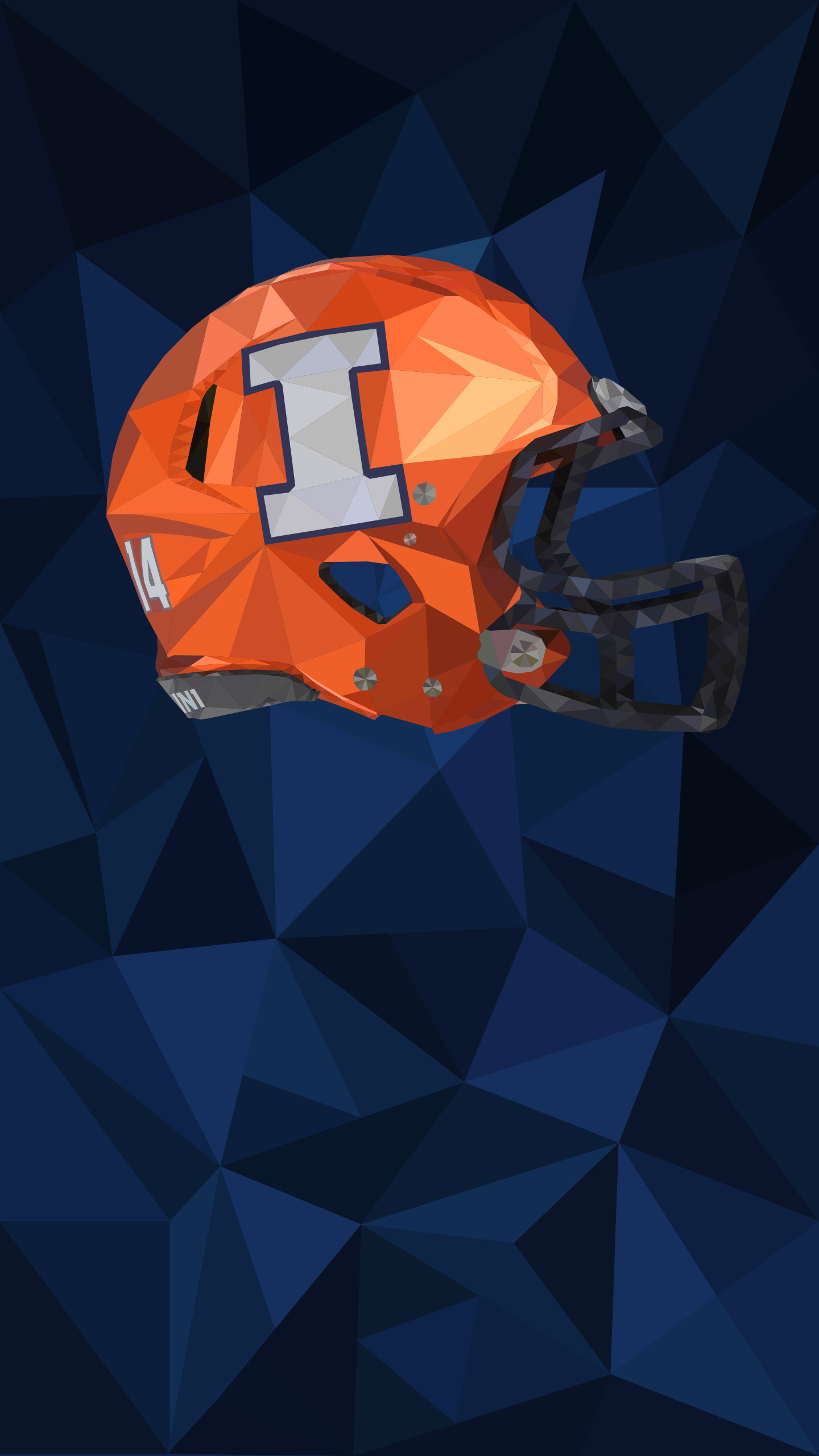 Illinois Fighting Illini Football, Album wallpapers, College football, Illinois team spirit, 1440x2560 HD Phone