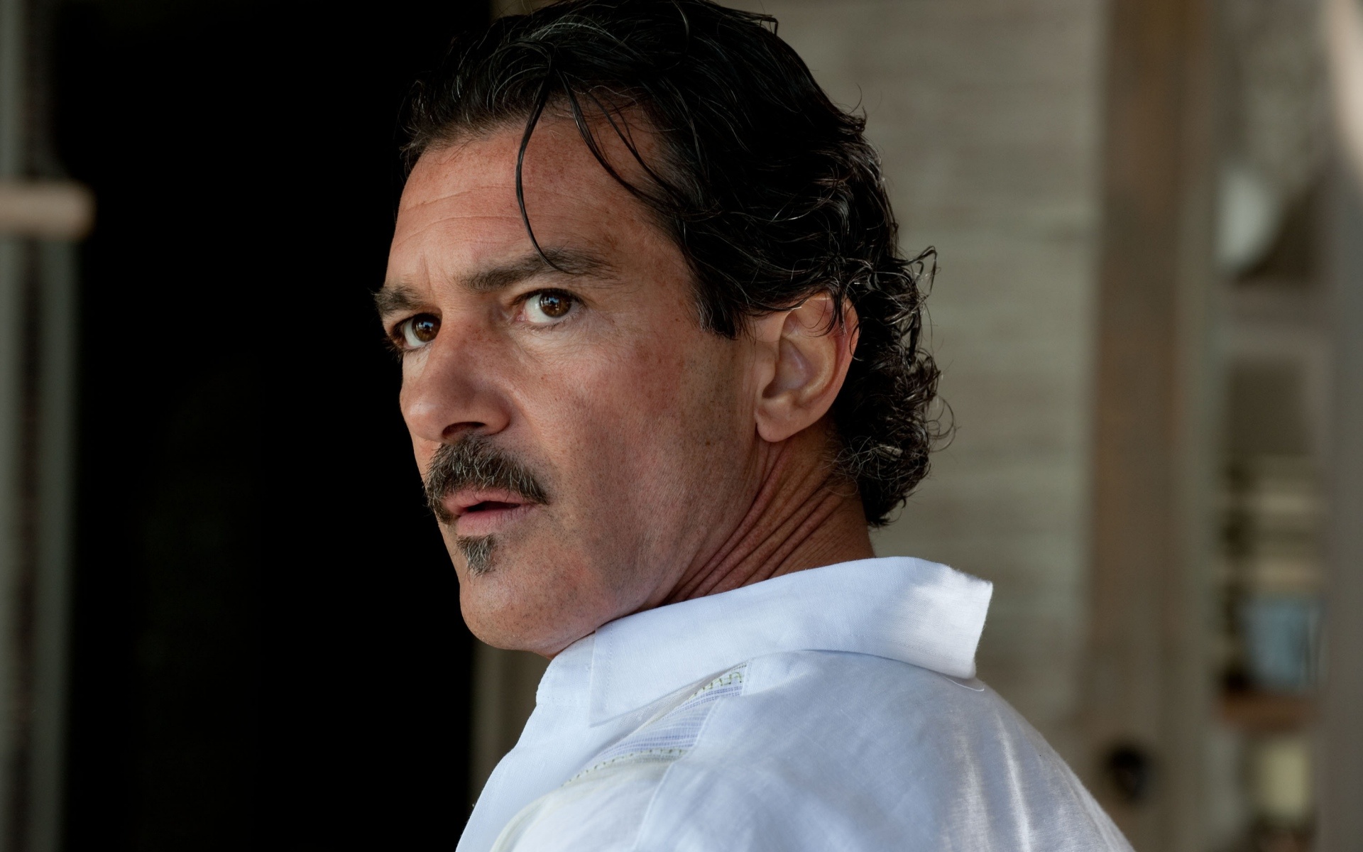 Antonio Banderas, Actor desktop wallpaper, 52101 px, 1920x1200 HD Desktop