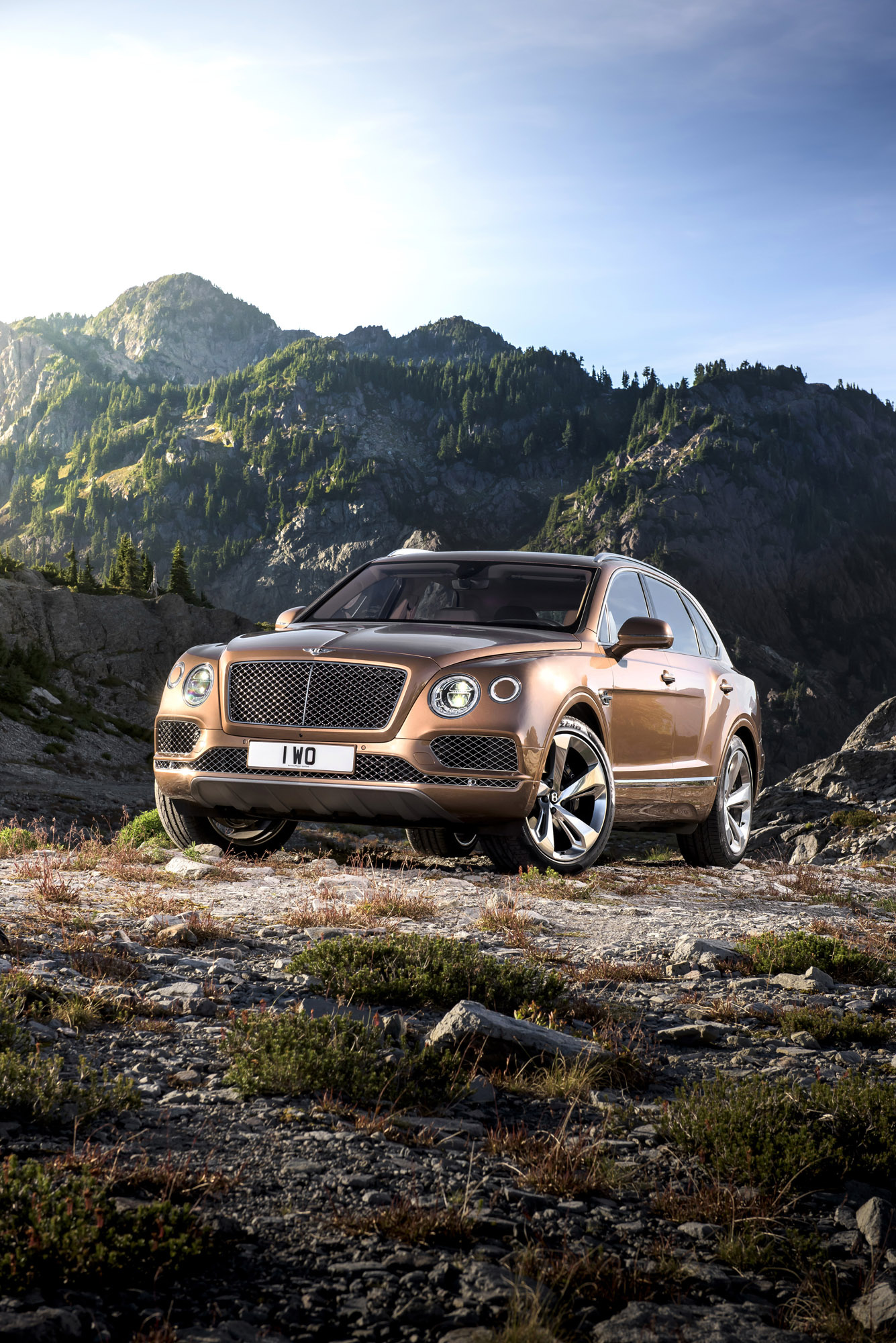 Bentley Bentayga, HD picture 2 of 32, 1340x2000 HD Phone