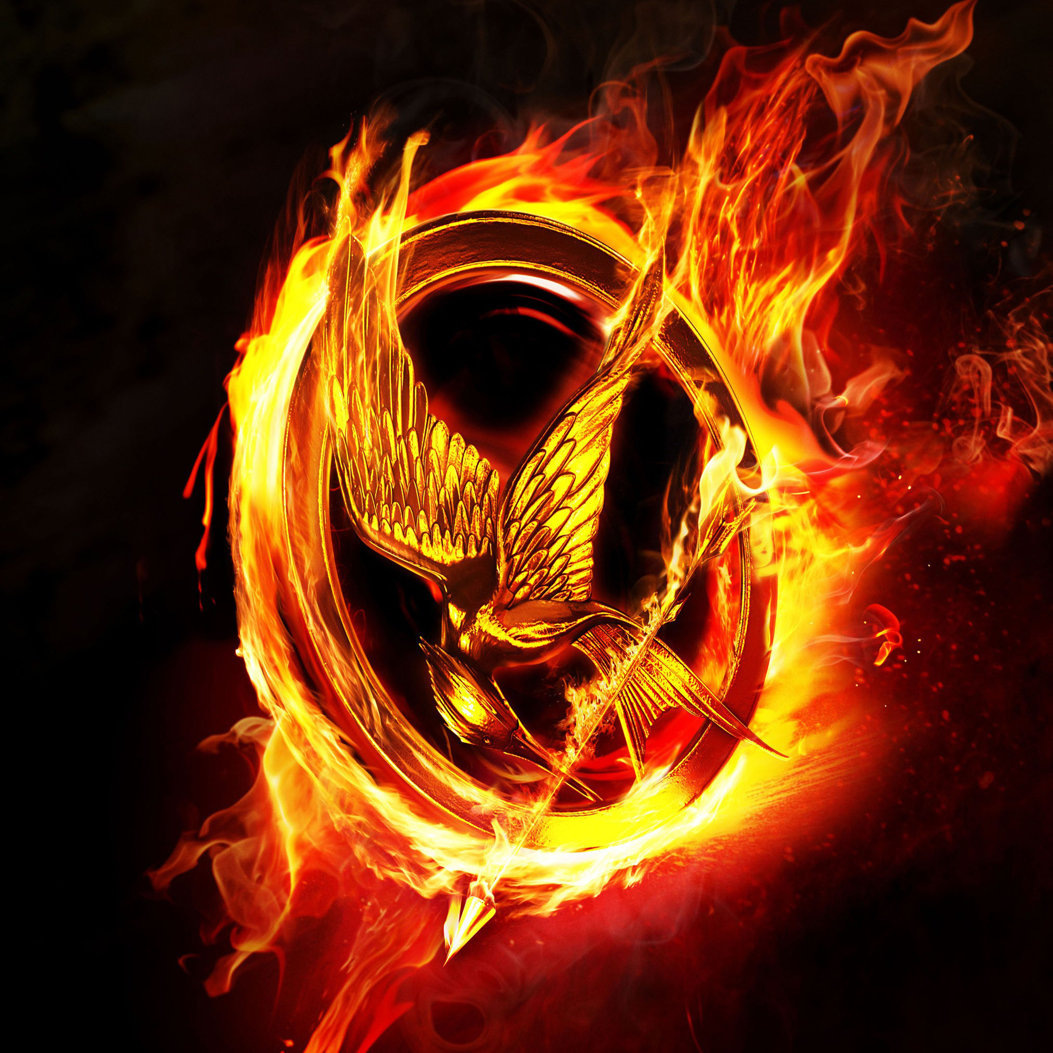 Hunger Games wallpaper, iPad wallpapers, Thrilling adventure, Captivating visuals, 2050x2050 HD Phone