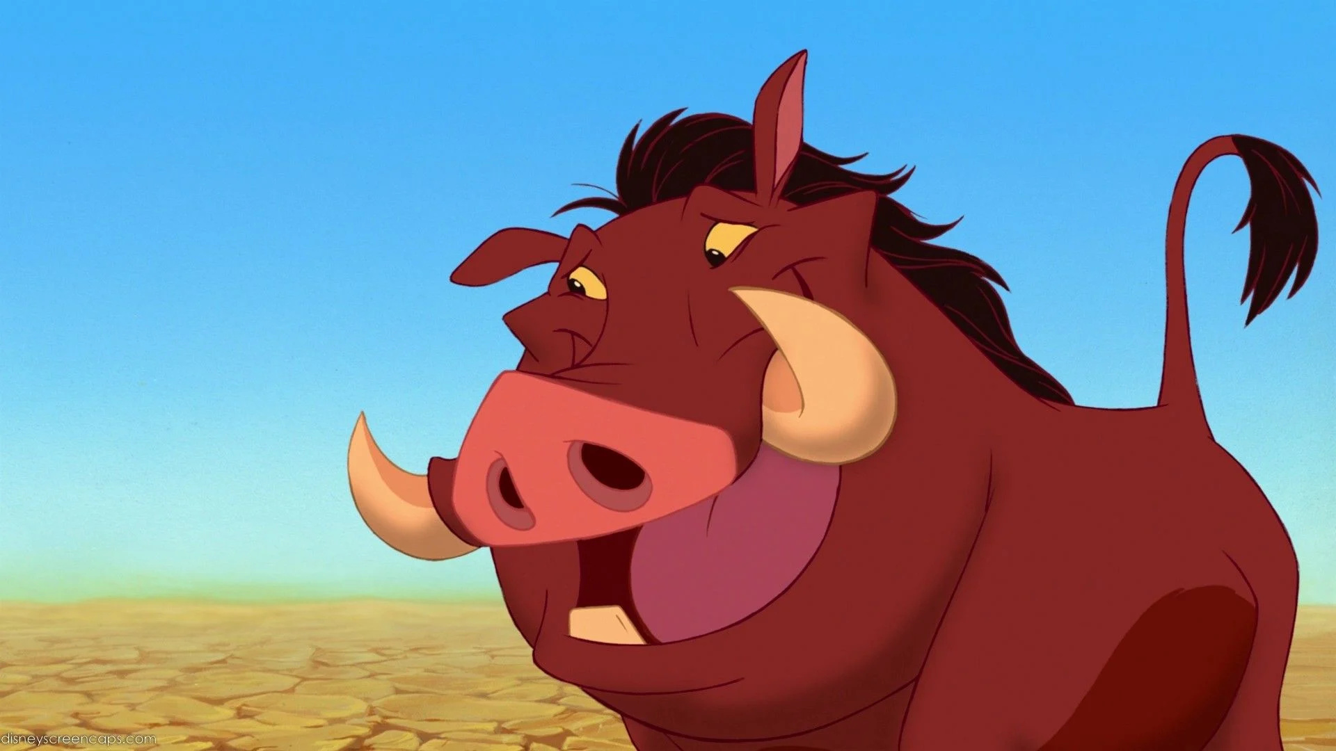 Timon and Pumbaa, TV series, Animation, Pumba wallpapers, 1920x1080 Full HD Desktop