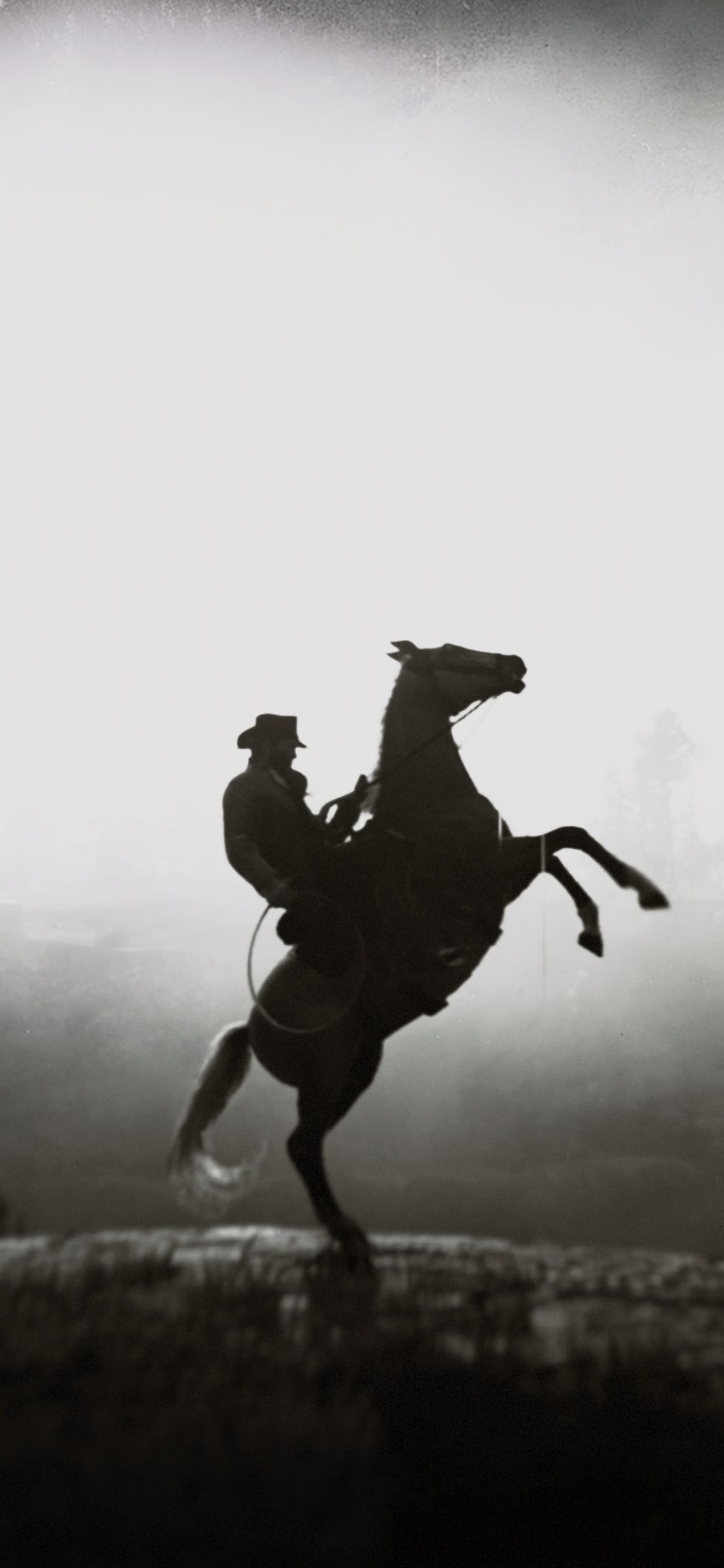 Equitation sports, Red dead redemption, Horse ride, 4K, 1130x2440 HD Phone