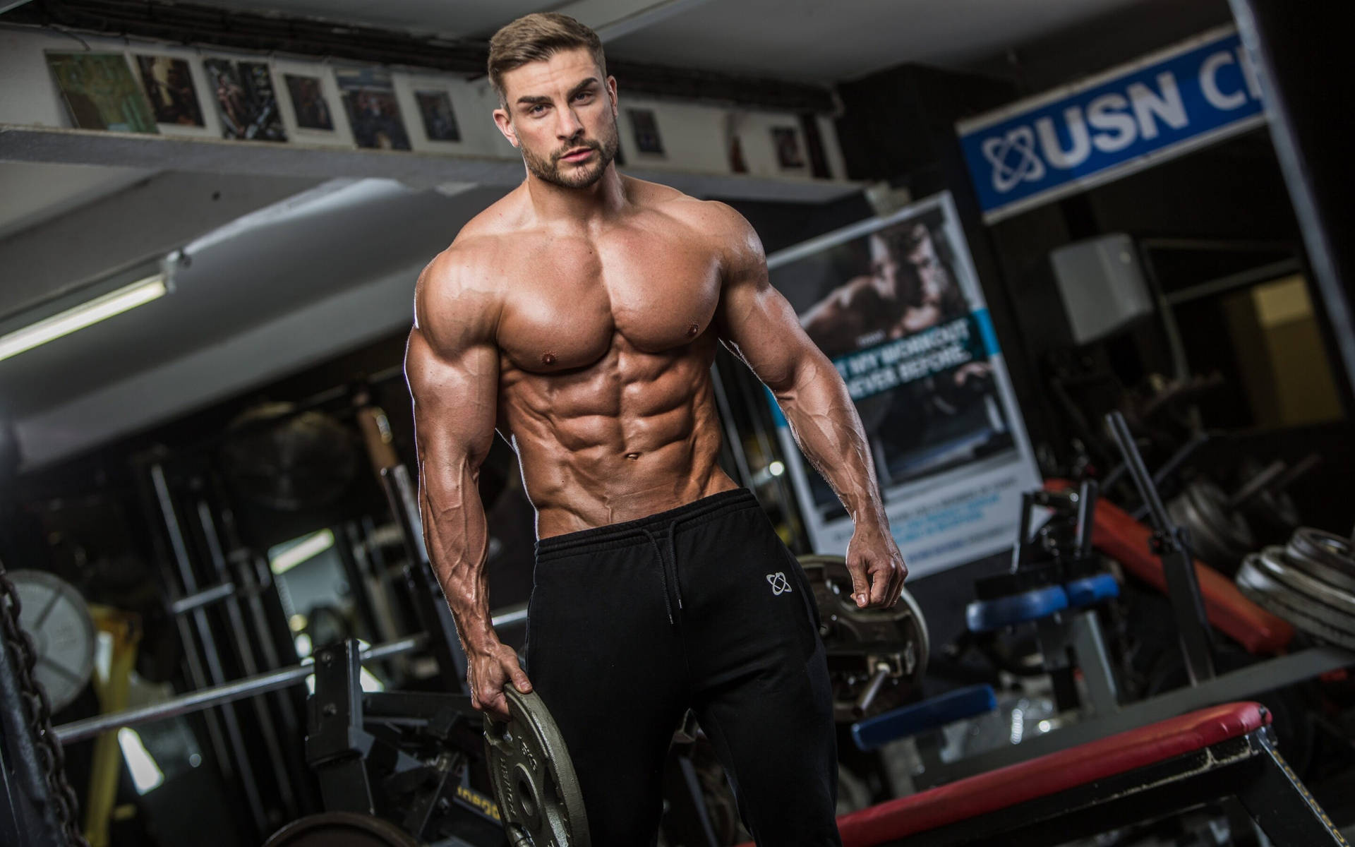 Ryan Terry, Gym weight plate, USN banner, HD Desktop wallpaper