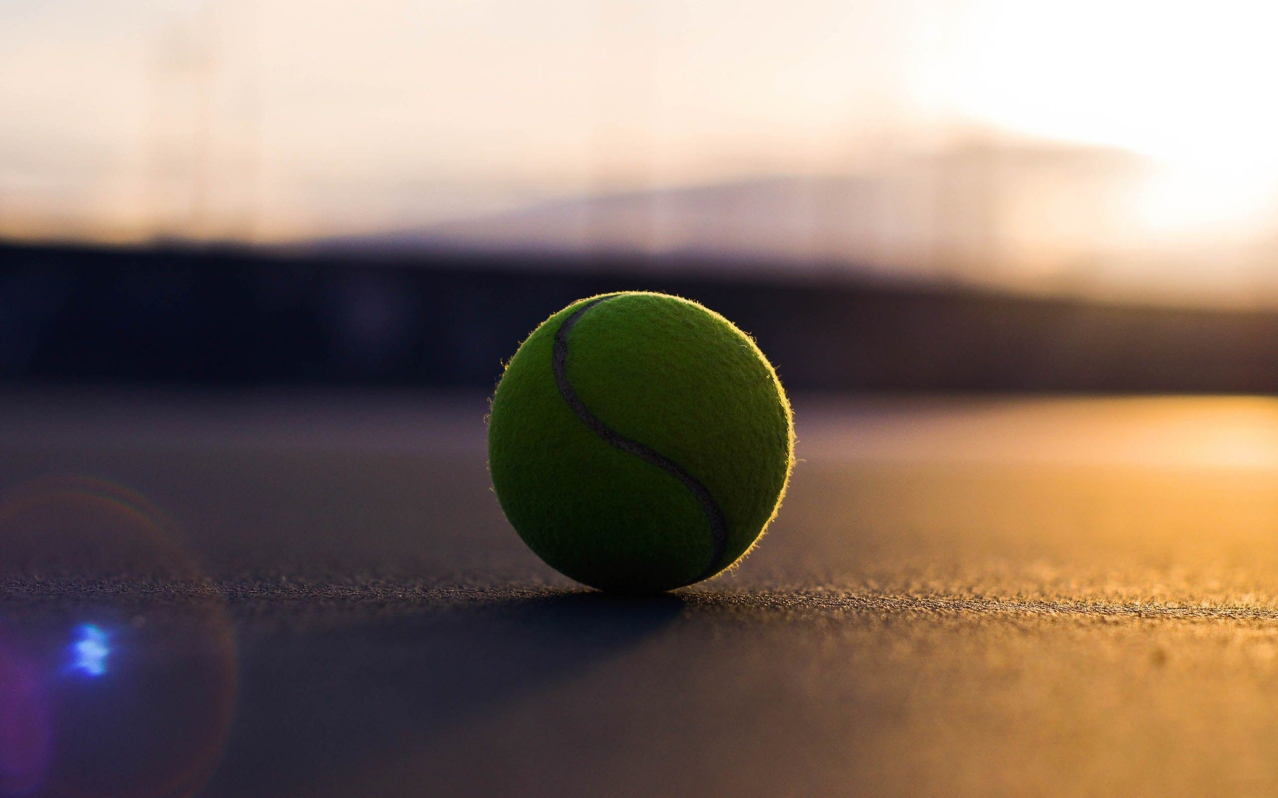 Tennis ball, Sports equipment, Green grass, Recreation, 2560x1600 HD Desktop