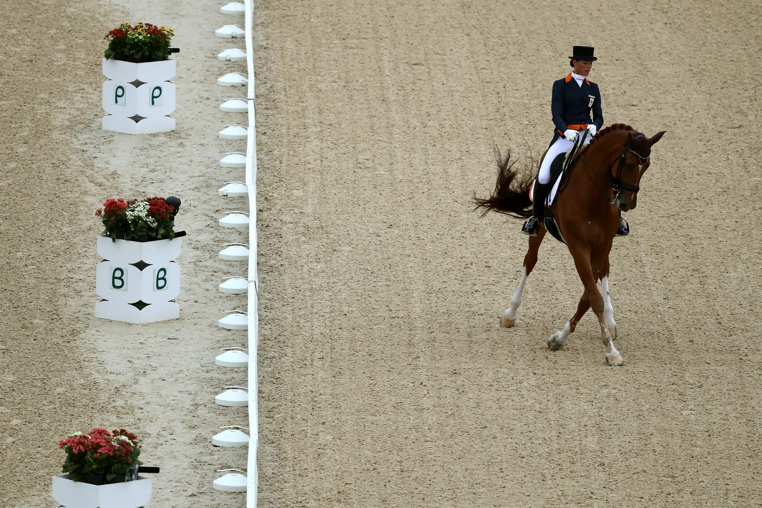 Paris 2024 Olympics, Equestrian competition, Riding arena, Medal dreams, 2560x1710 HD Desktop