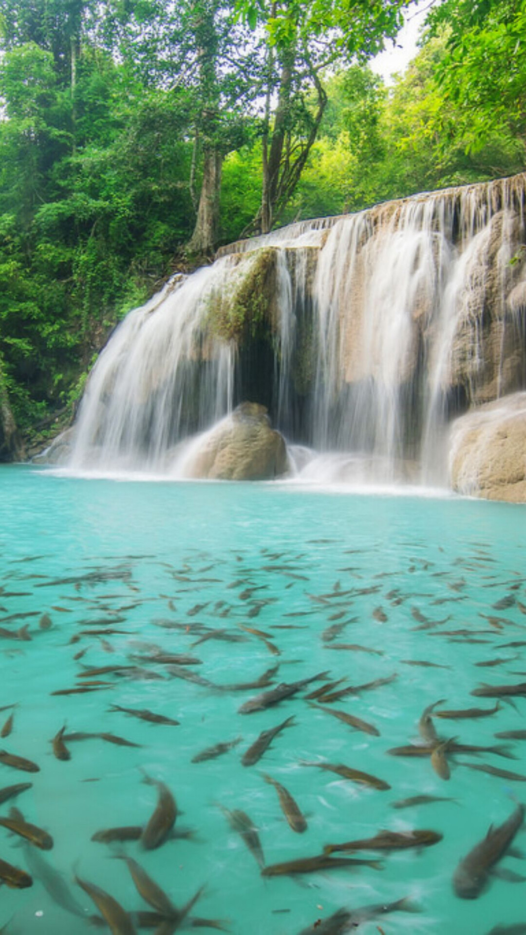 Erawan waterfall, 4K, Beautiful waterfall, Google, 1080x1920 Full HD Phone