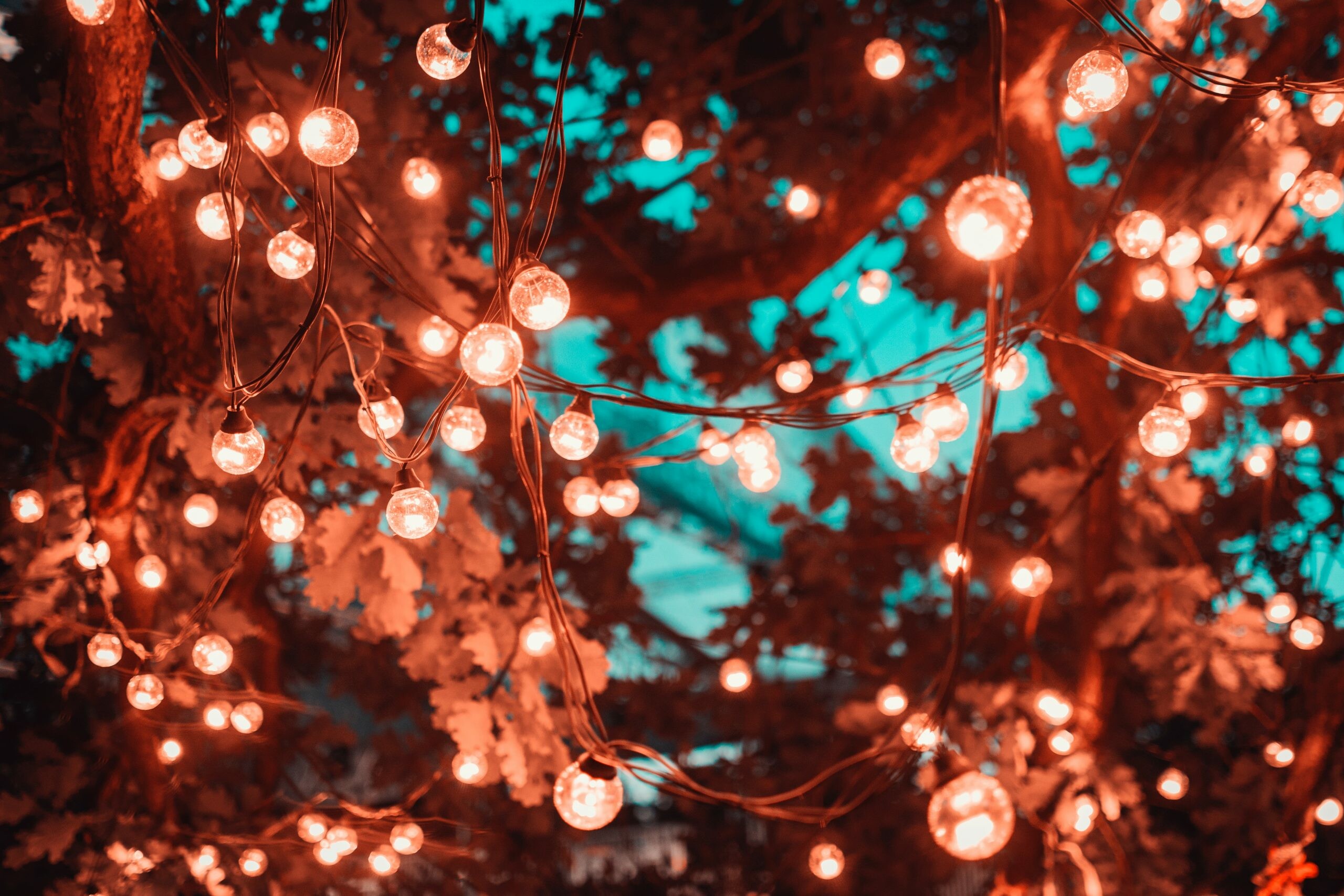 Festoons and fairy lights, Sydney and surrounds, Festive ambiance, Magical glow, 2560x1710 HD Desktop