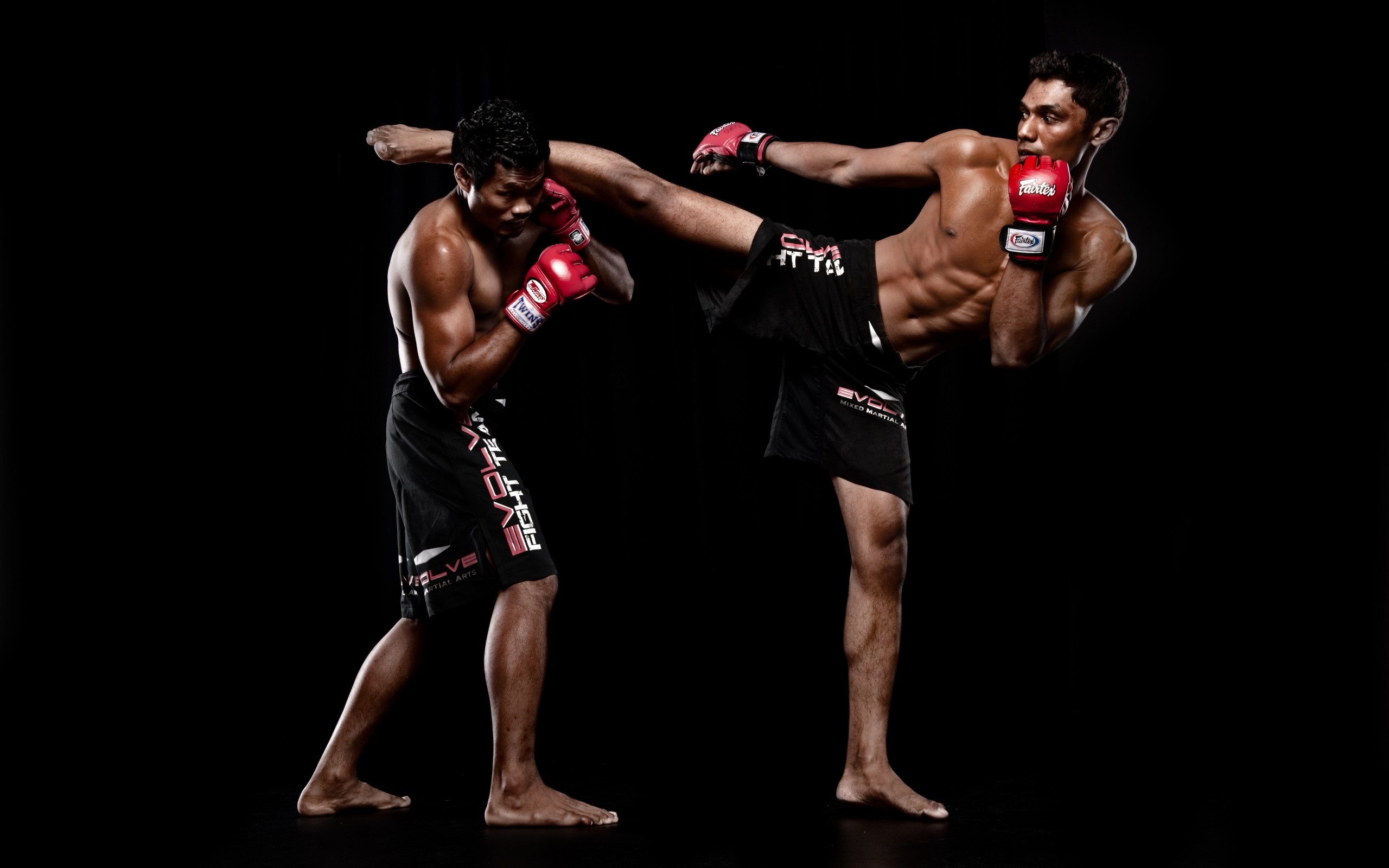 Mixed martial arts pictures, Baltana collection, 2560x1600 HD Desktop