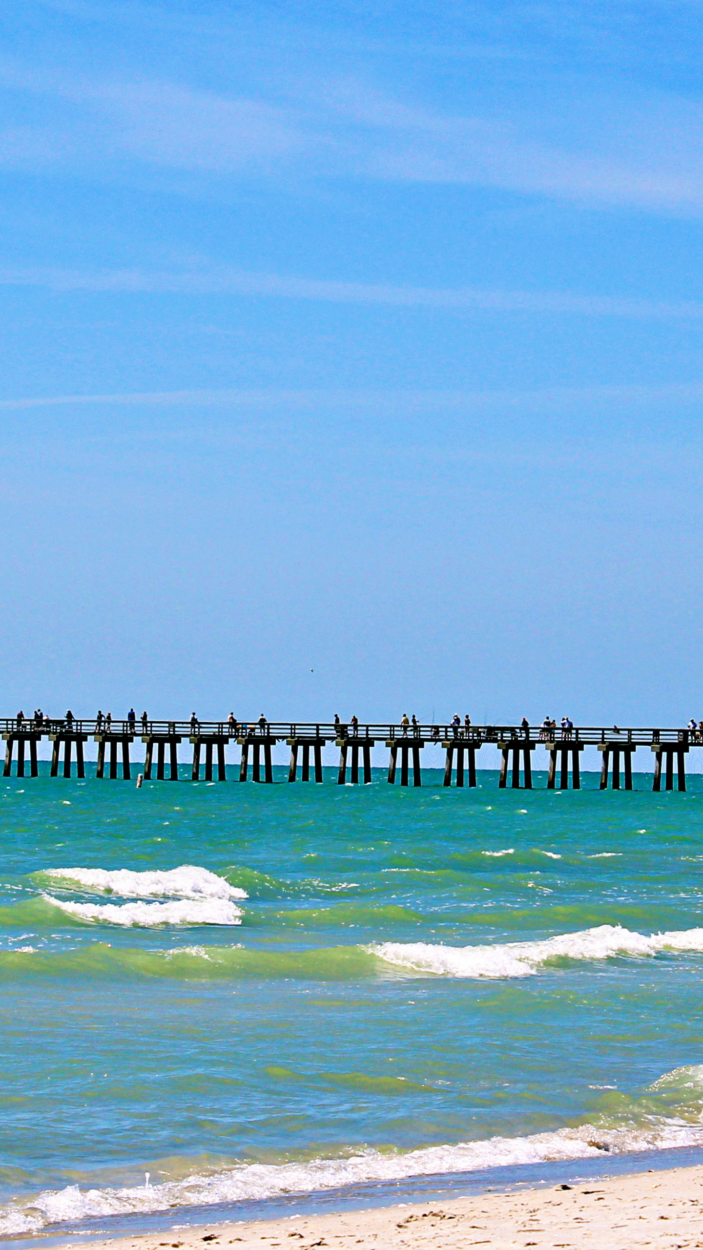 Naples, Florida, Free download, Miami wallpaper, 1440x2560 HD Phone