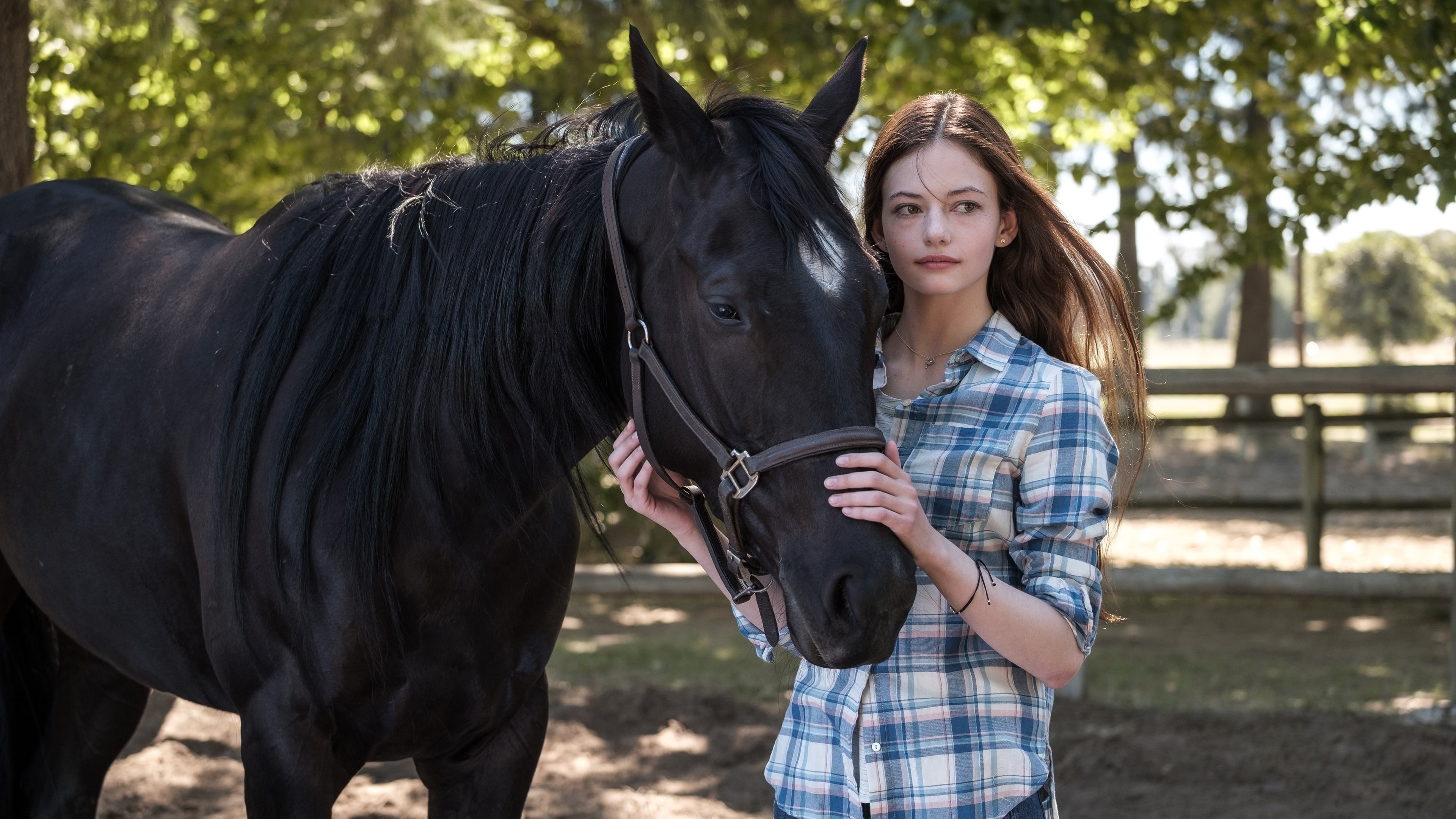 Black Beauty Movie 2020, Spectacular cinematography, Emotional bond, Equine companionship, 3840x2160 4K Desktop