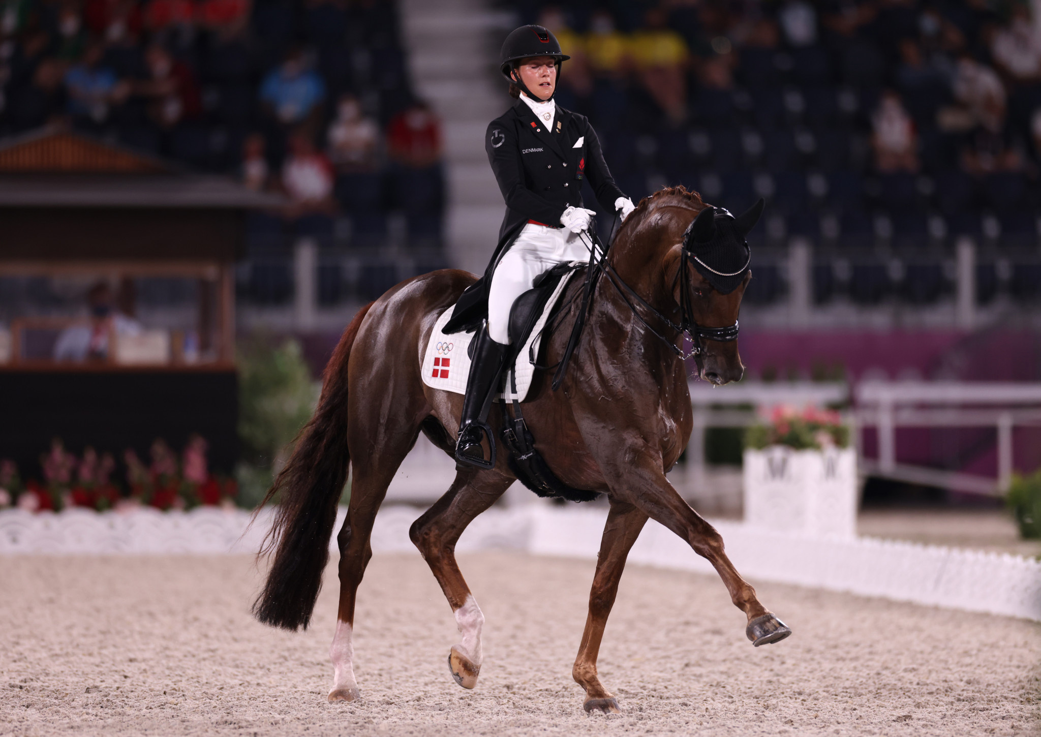 Dressage sports, FEI dressage world cup opener, Herning competition, Star-studded field, 2050x1450 HD Desktop