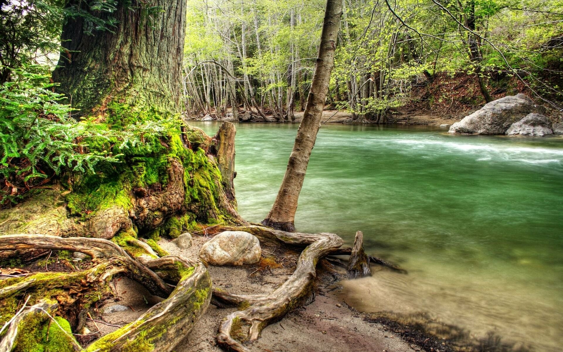 Breathtaking river scenes, Nature's majestic currents, Tranquil waterscapes, Serenity in motion, 1920x1200 HD Desktop