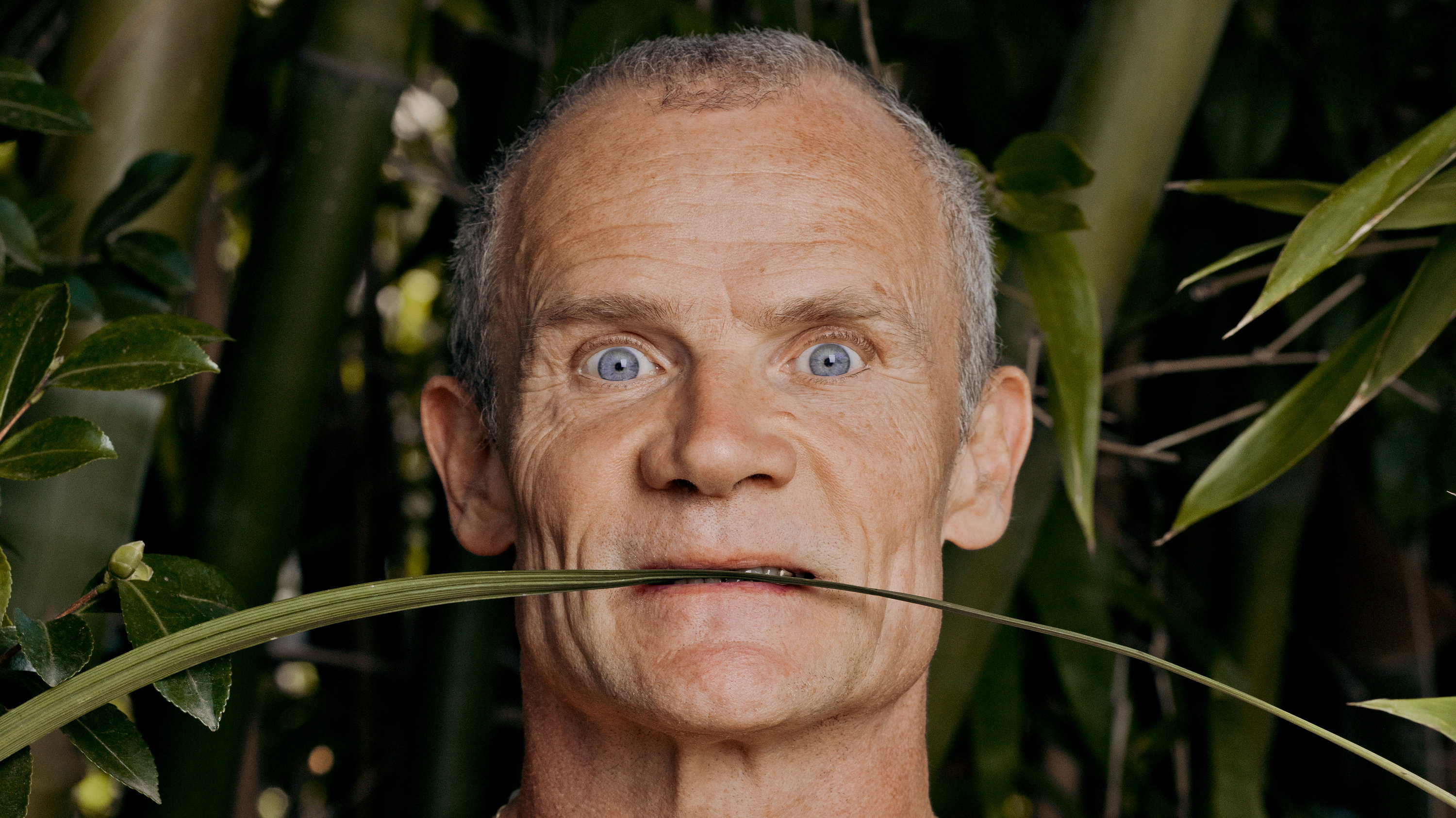 Red Hot Chili Peppers, Flea's wild life, Portlandia, Personal experiences, 3000x1690 HD Desktop