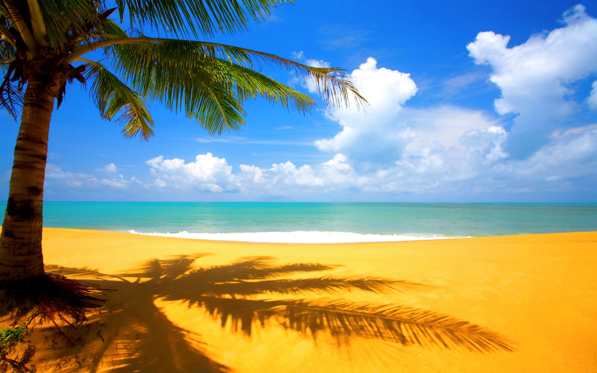 Coconut palm tree, Palm tree shadow on sand, Turquoise tropical ocean, HD Desktop wallpaper