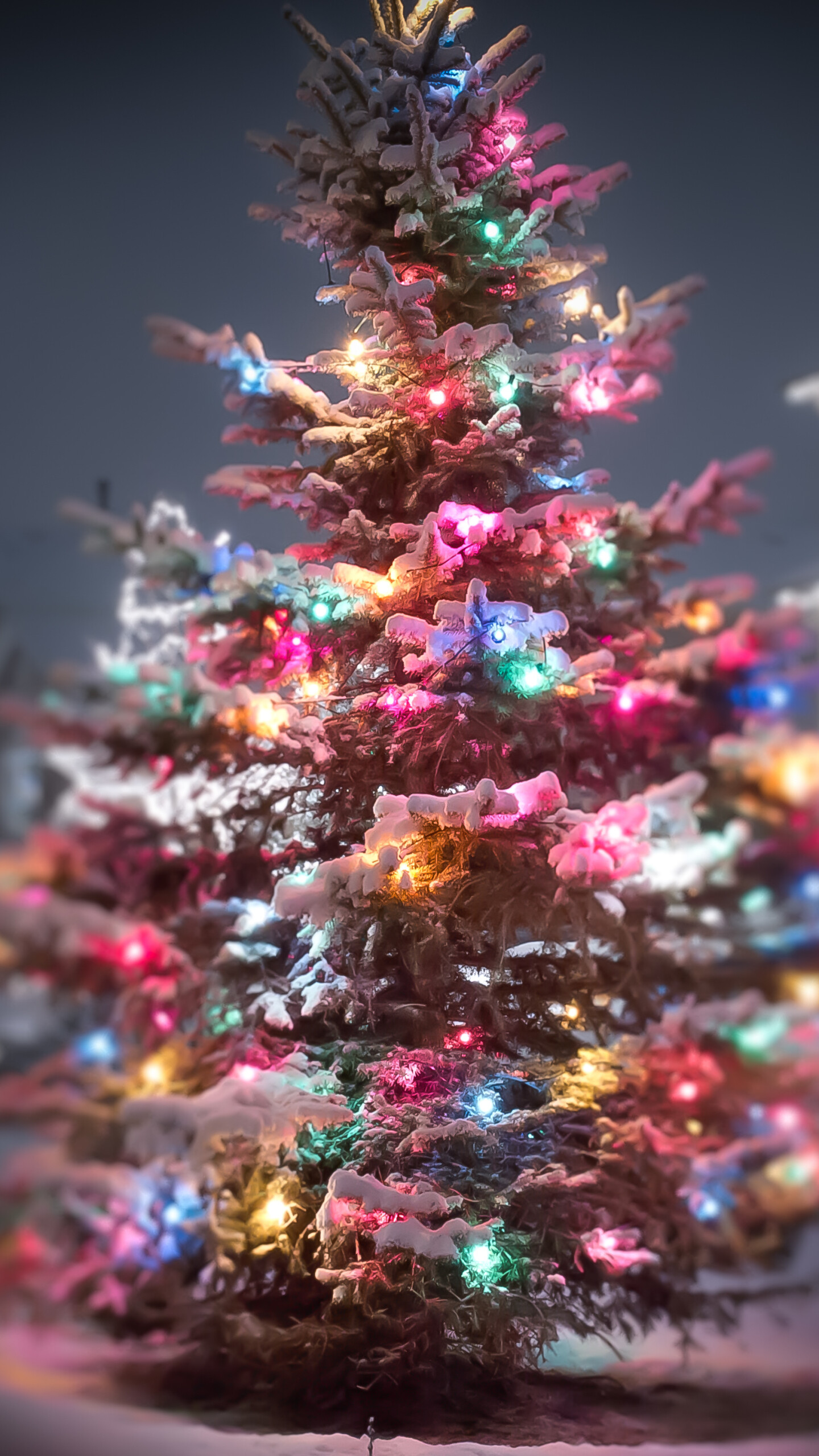 Christmas Lights, Festive ambiance, Sparkling decorations, Holiday cheer, 1440x2560 HD Phone