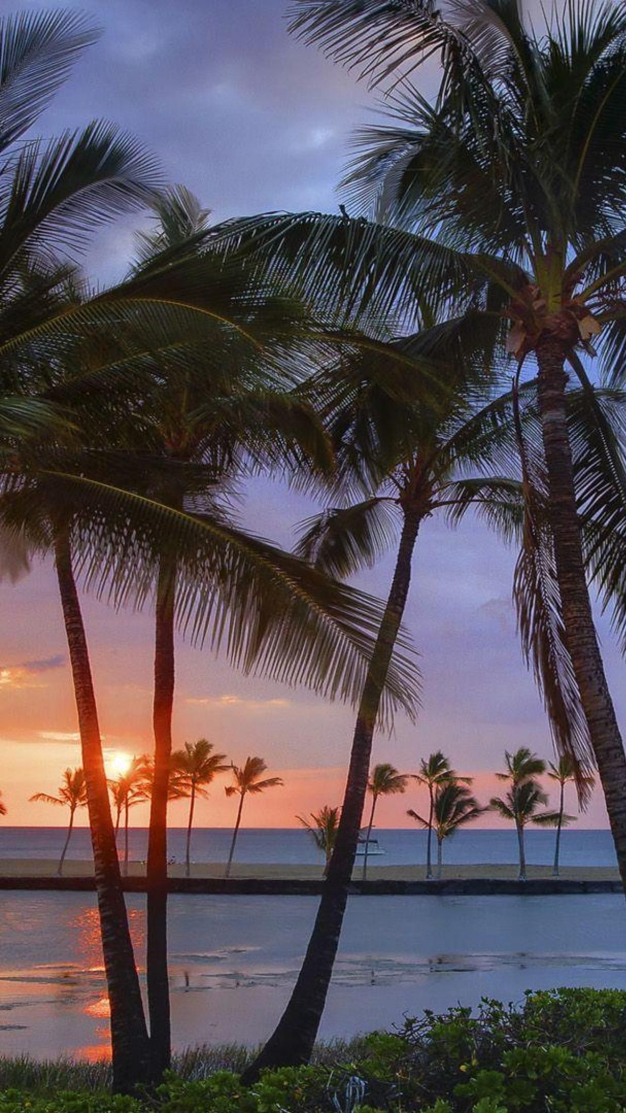 Sunset Beach Park, Hawaiian Sunset Wallpaper, 1250x2210 HD Phone