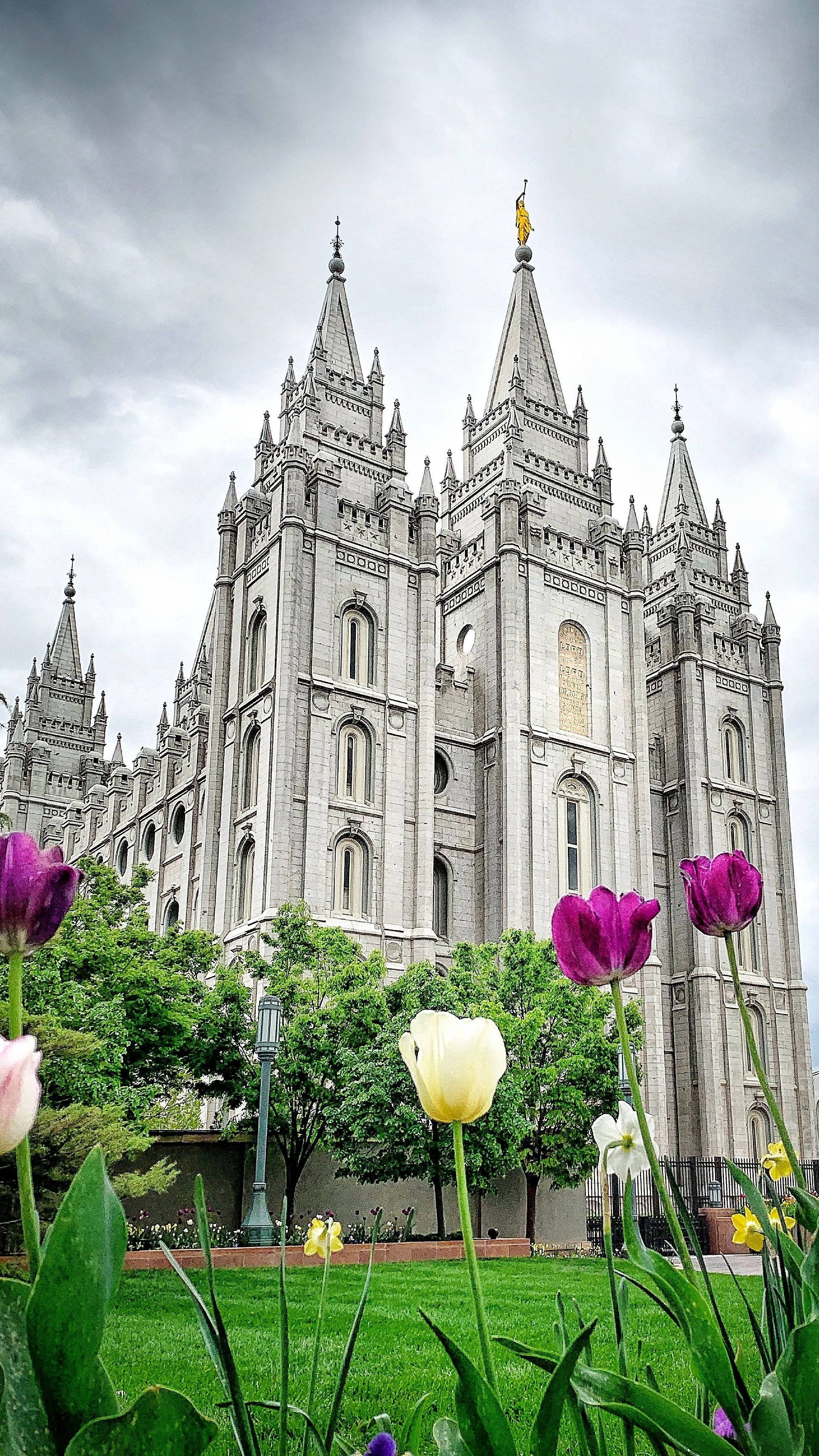 Salt Lake Temple, Temple photography, Pin, Tower lights, 1950x3470 HD Phone