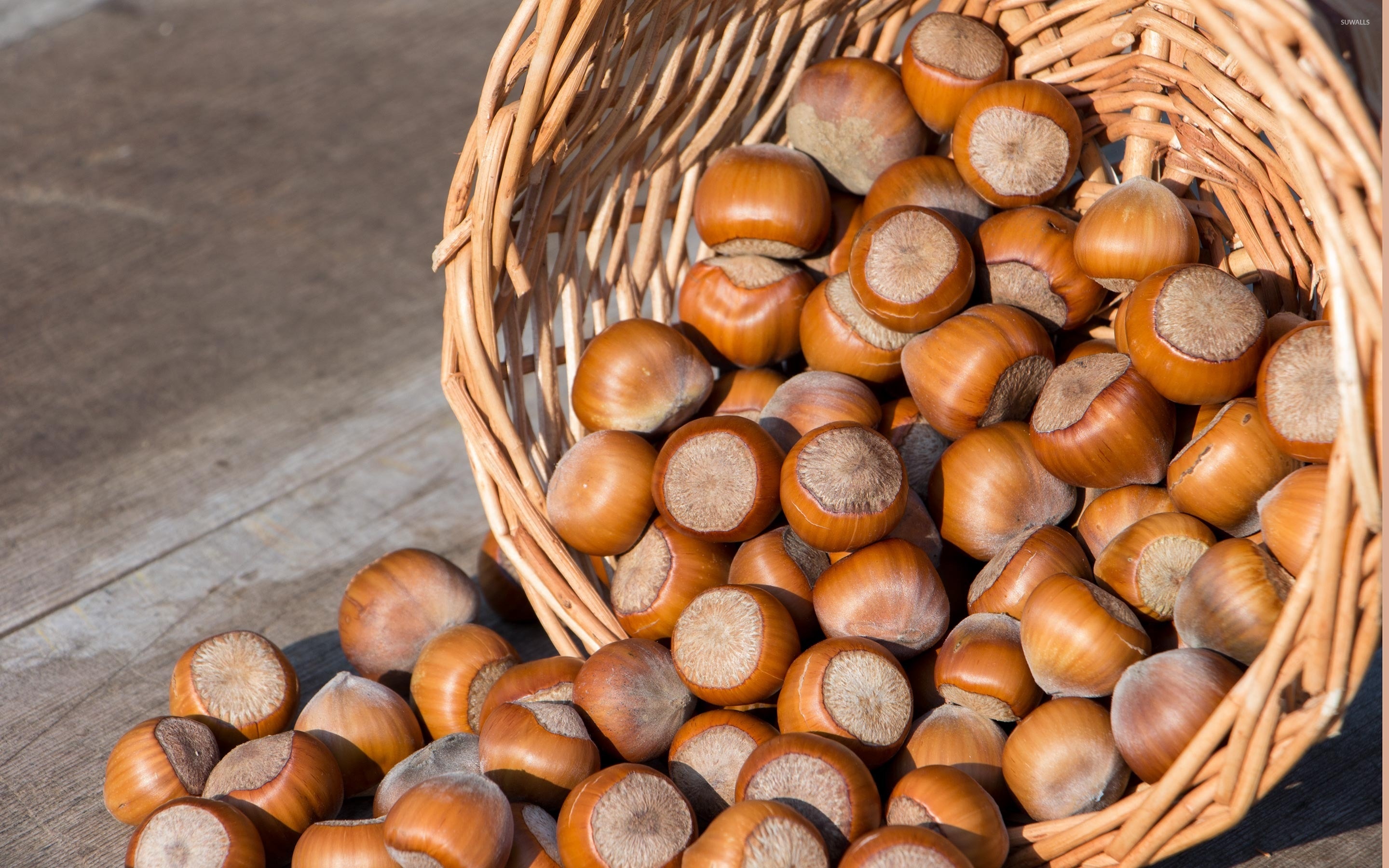 Hazelnuts on table, Organic photography, Nutty wallpapers, High definition, 2880x1800 HD Desktop