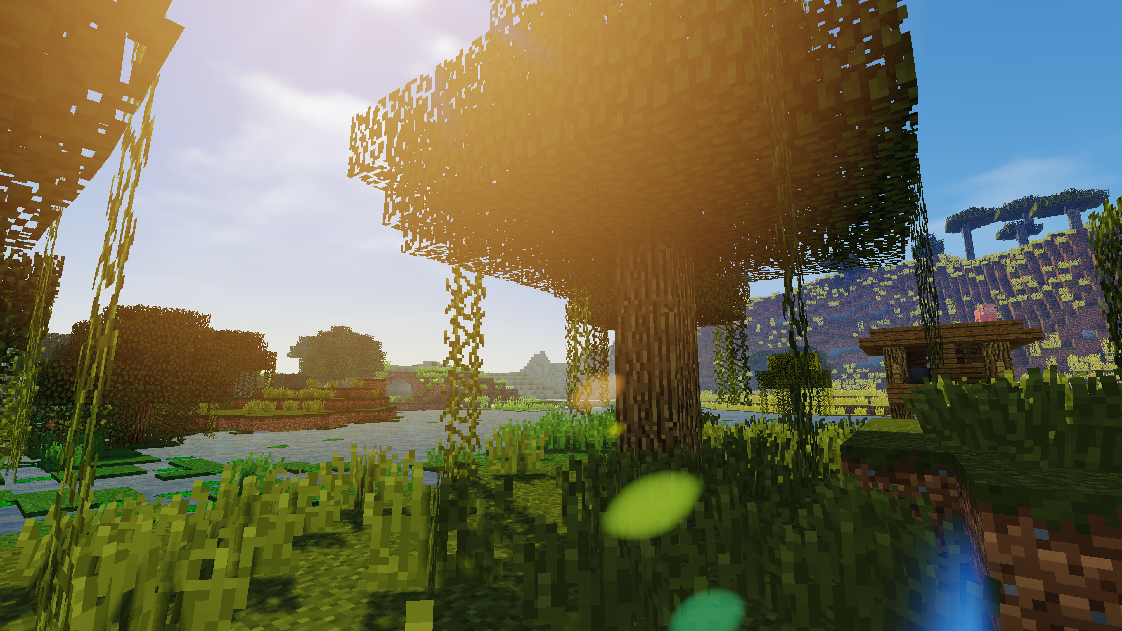 Minecraft swamp oak tree, Minecraft witch hut, sunlight shader lens flare, 4K Desktop wallpaper