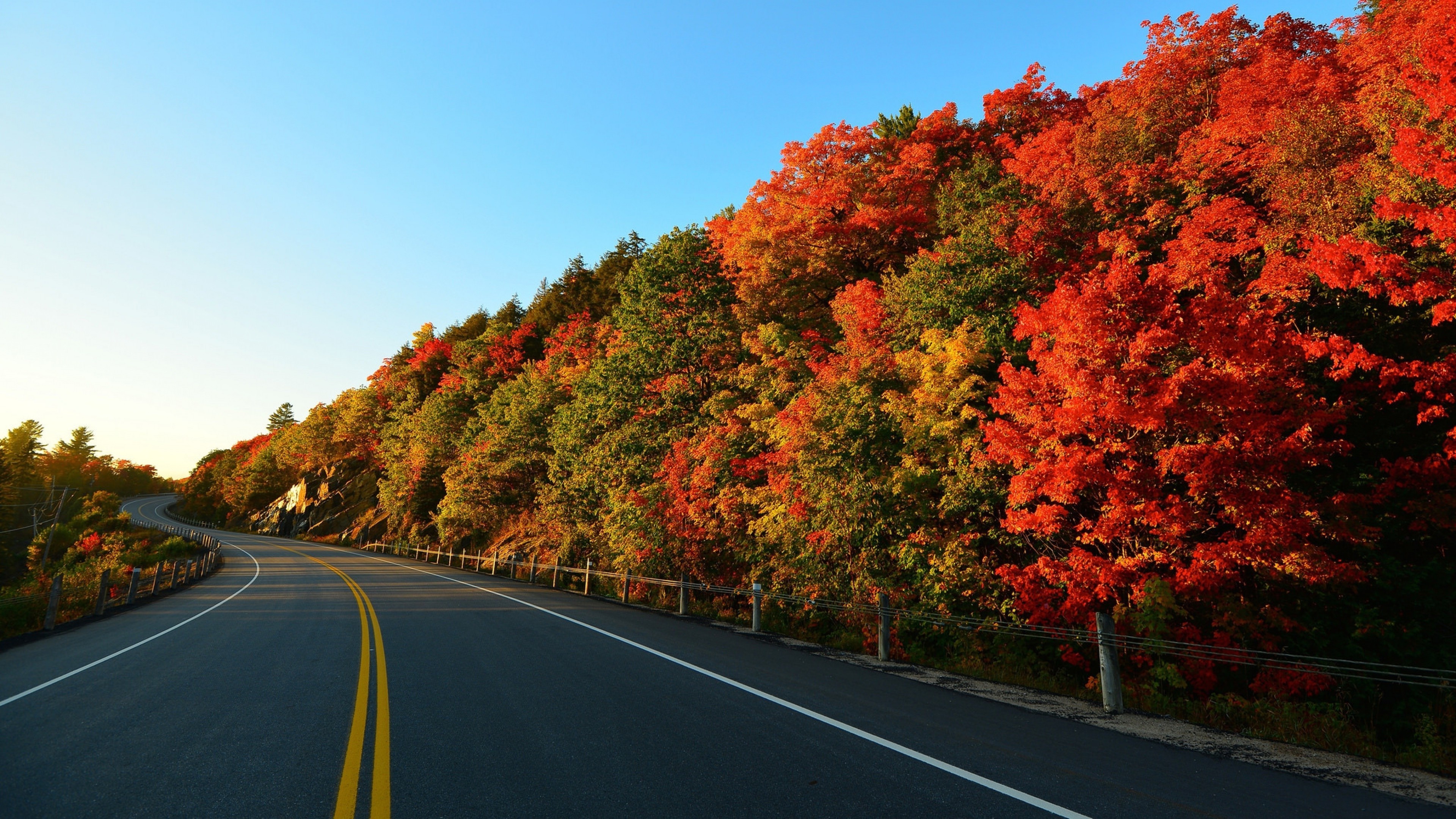winding autumn highway, red maple fall foliage, wooden post cable guardrail, 4K Desktop wallpaper