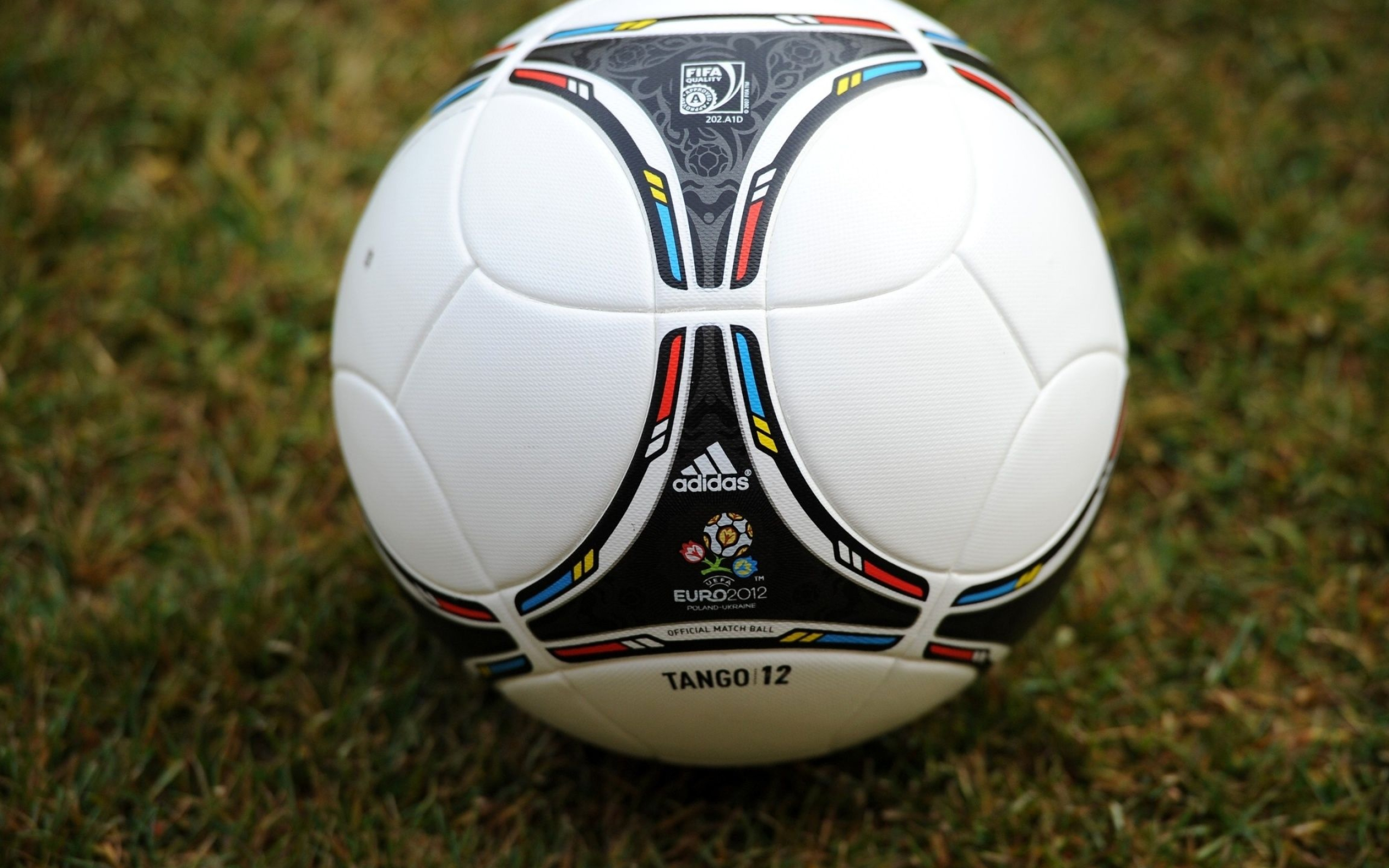 Euro 2012, Ball Wallpaper, 2560x1600 HD Desktop