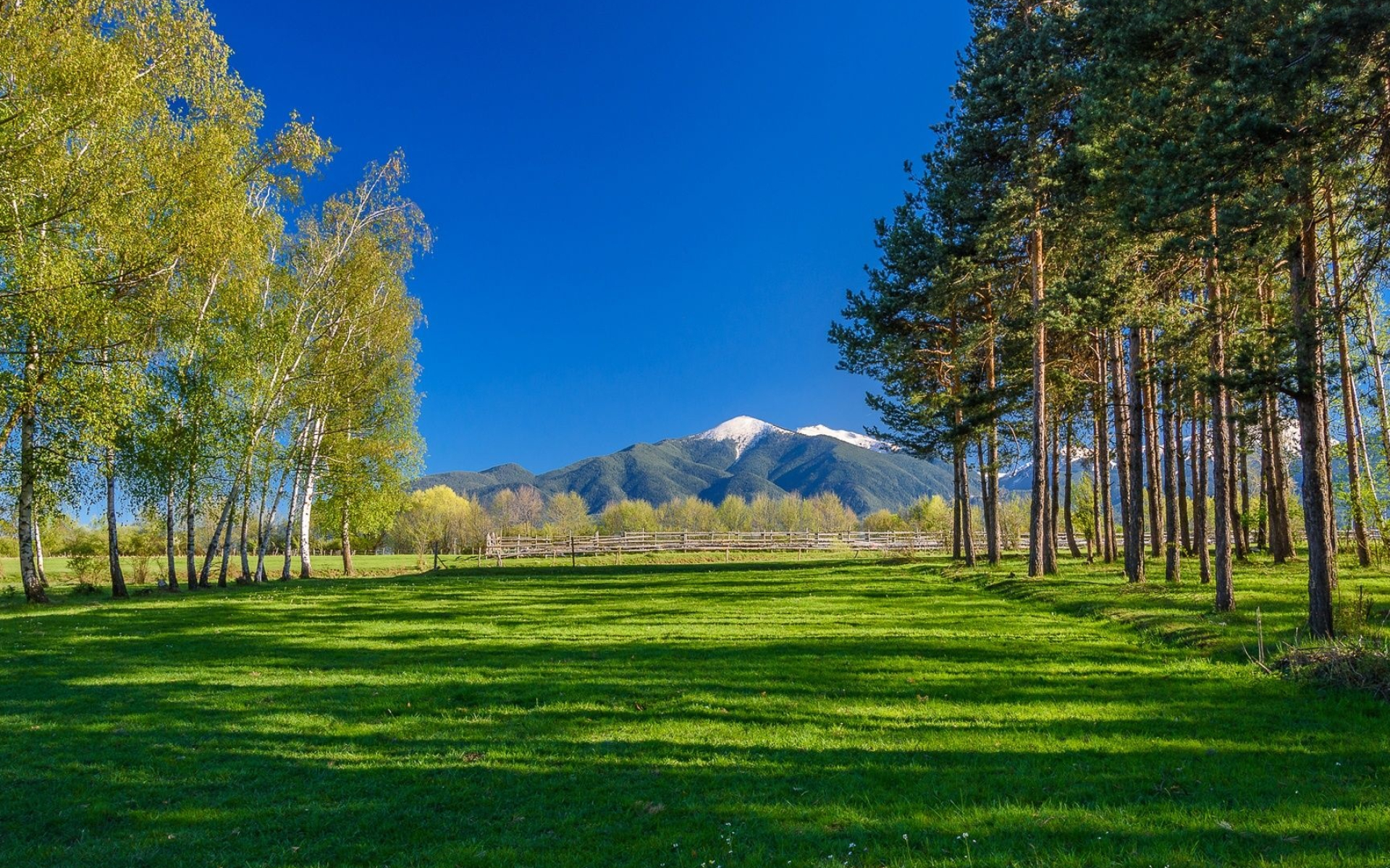 Sunny 4K wallpapers, Captivating visuals, Vibrant nature, Radiant imagery, 1920x1200 HD Desktop