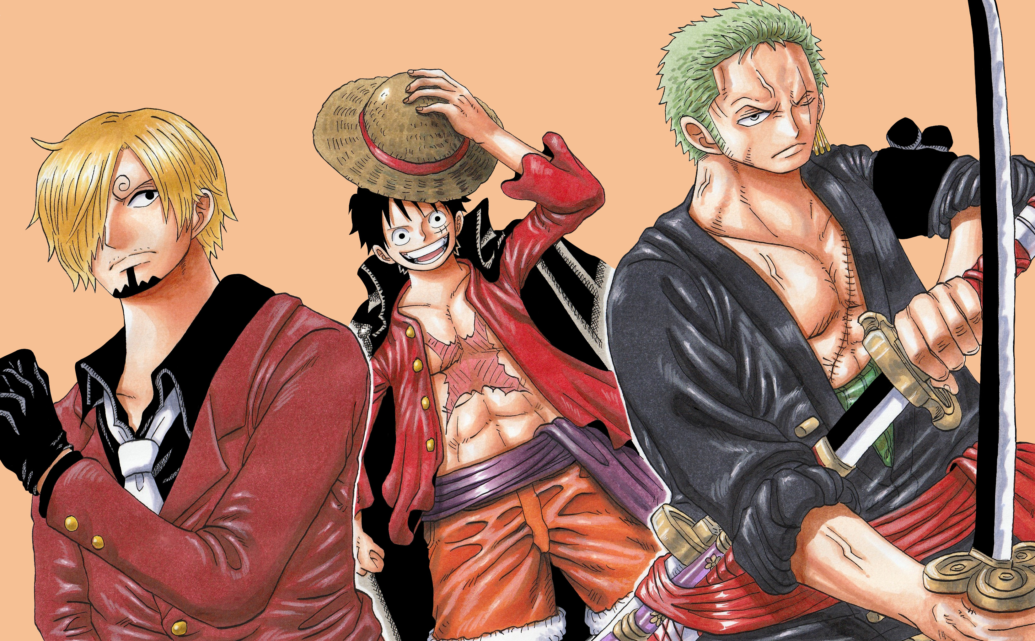Sanji, Monkey D. Luffy, Roronoa Zoro, HD Desktop wallpaper