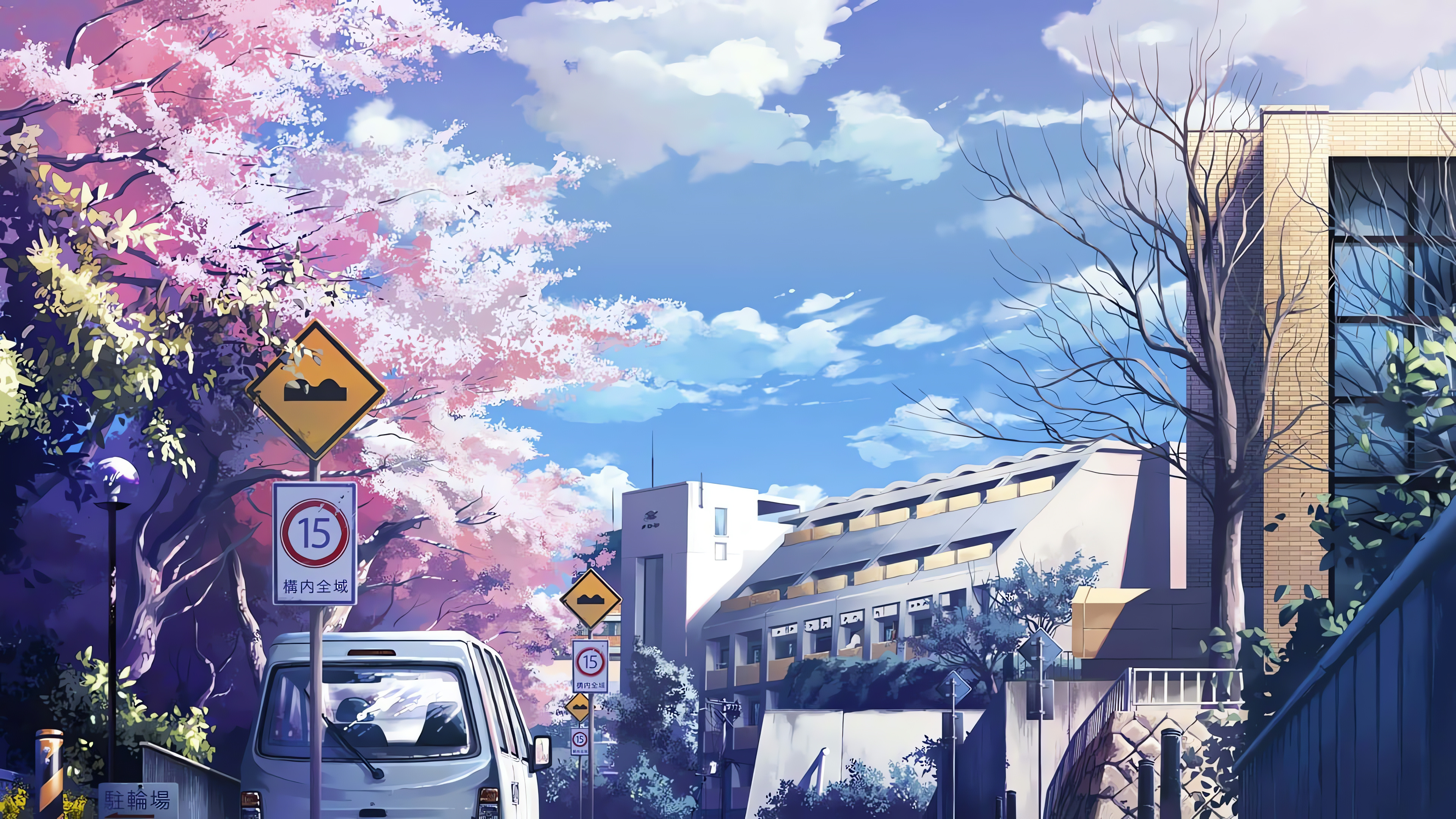 4K Anime Street, Pink Sakura Flourish, Desktop Background
