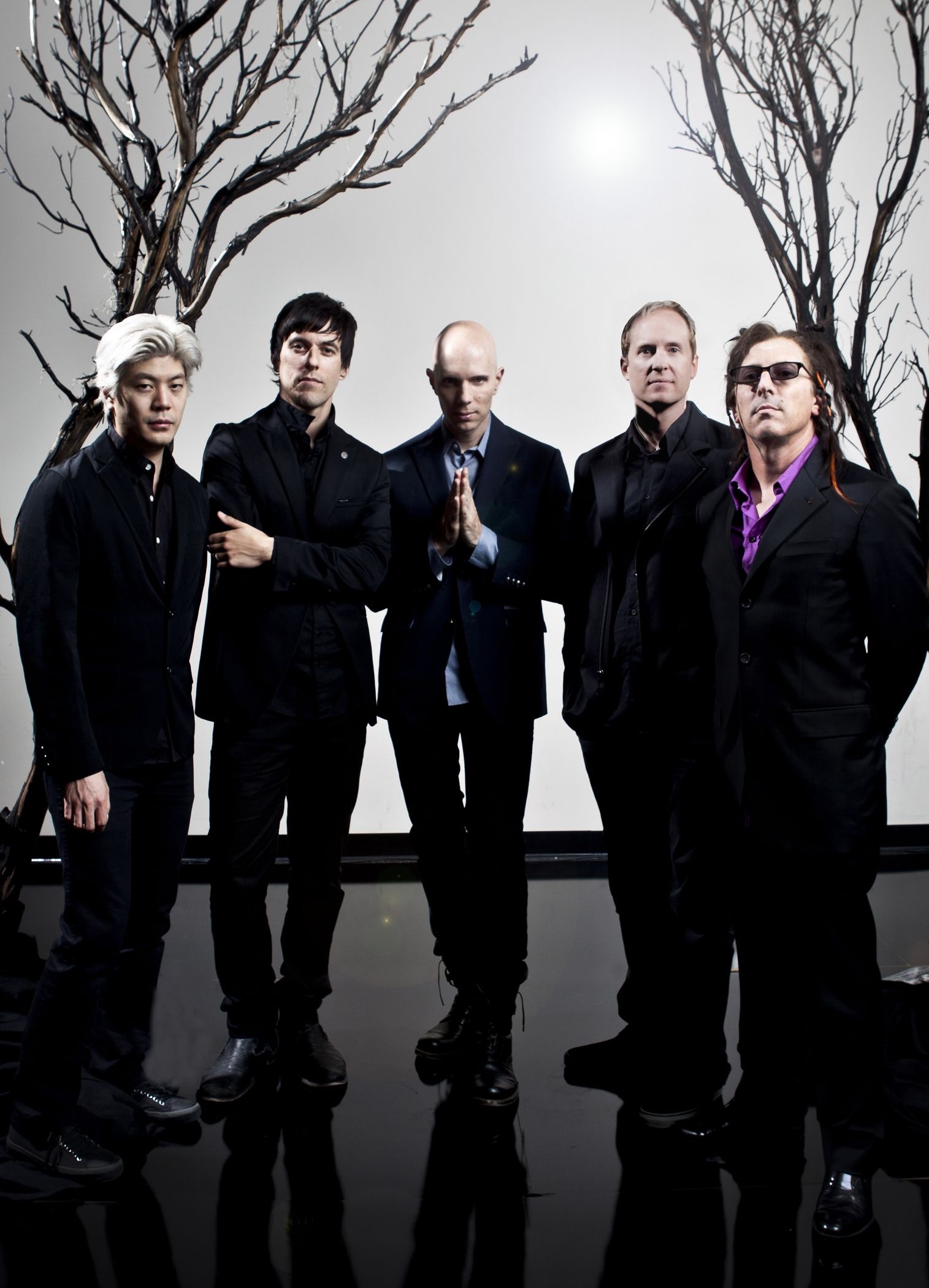 A Perfect Circle, Iconic performances, Amy Lee collaboration, Yearbook photos, 1520x2100 HD Phone