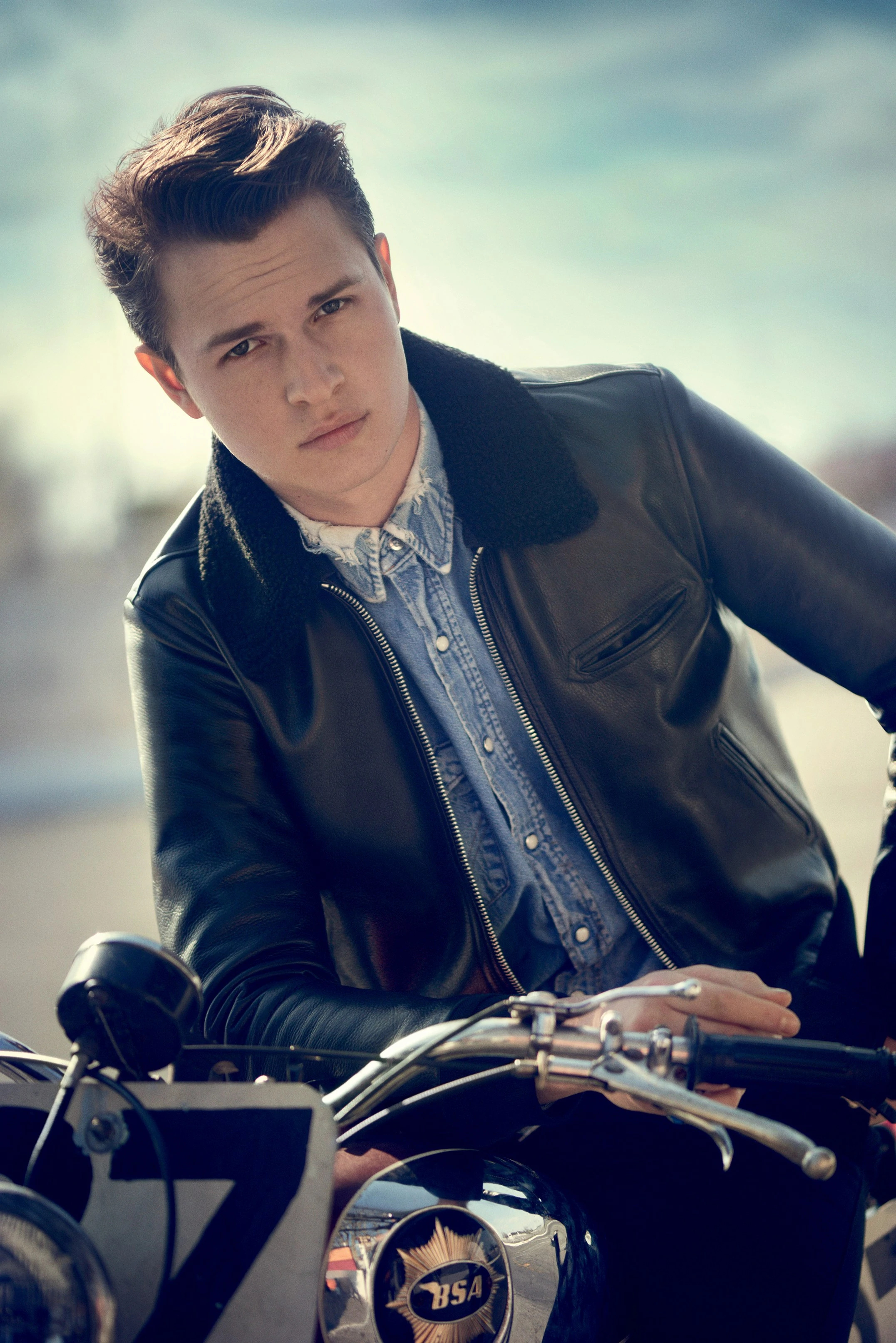 Ansel Elgort, The Goldfinch movie, Wiki Fandom, 2160x3230 HD Phone
