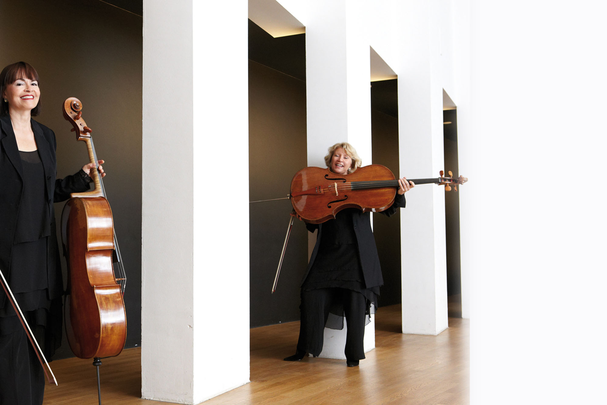 Music, Violoncello, Duo, Musical harmony, 2000x1340 HD Desktop