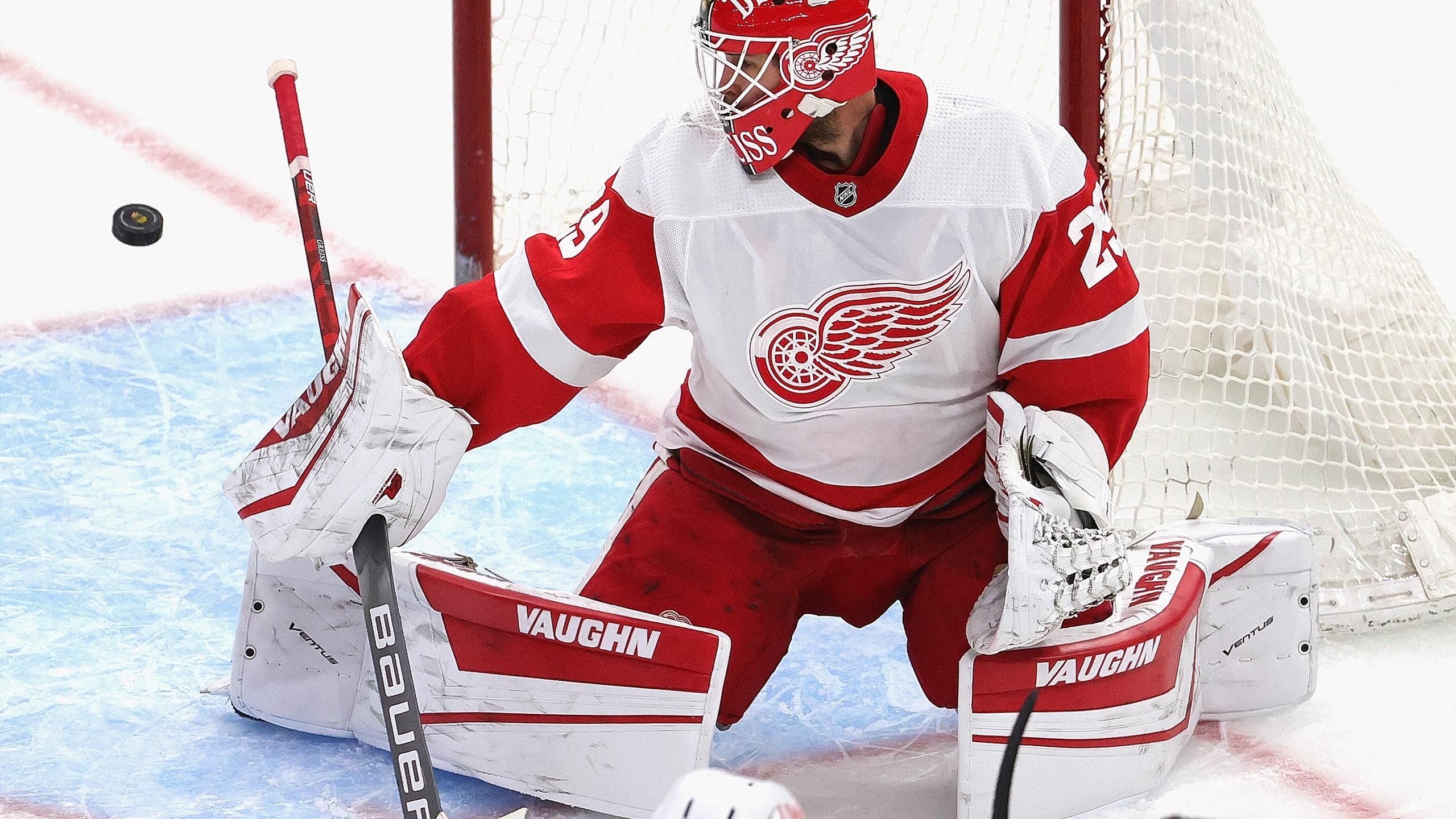 Jason Williams, Detroit Red Wings Wallpaper, 2560x1440 HD Desktop
