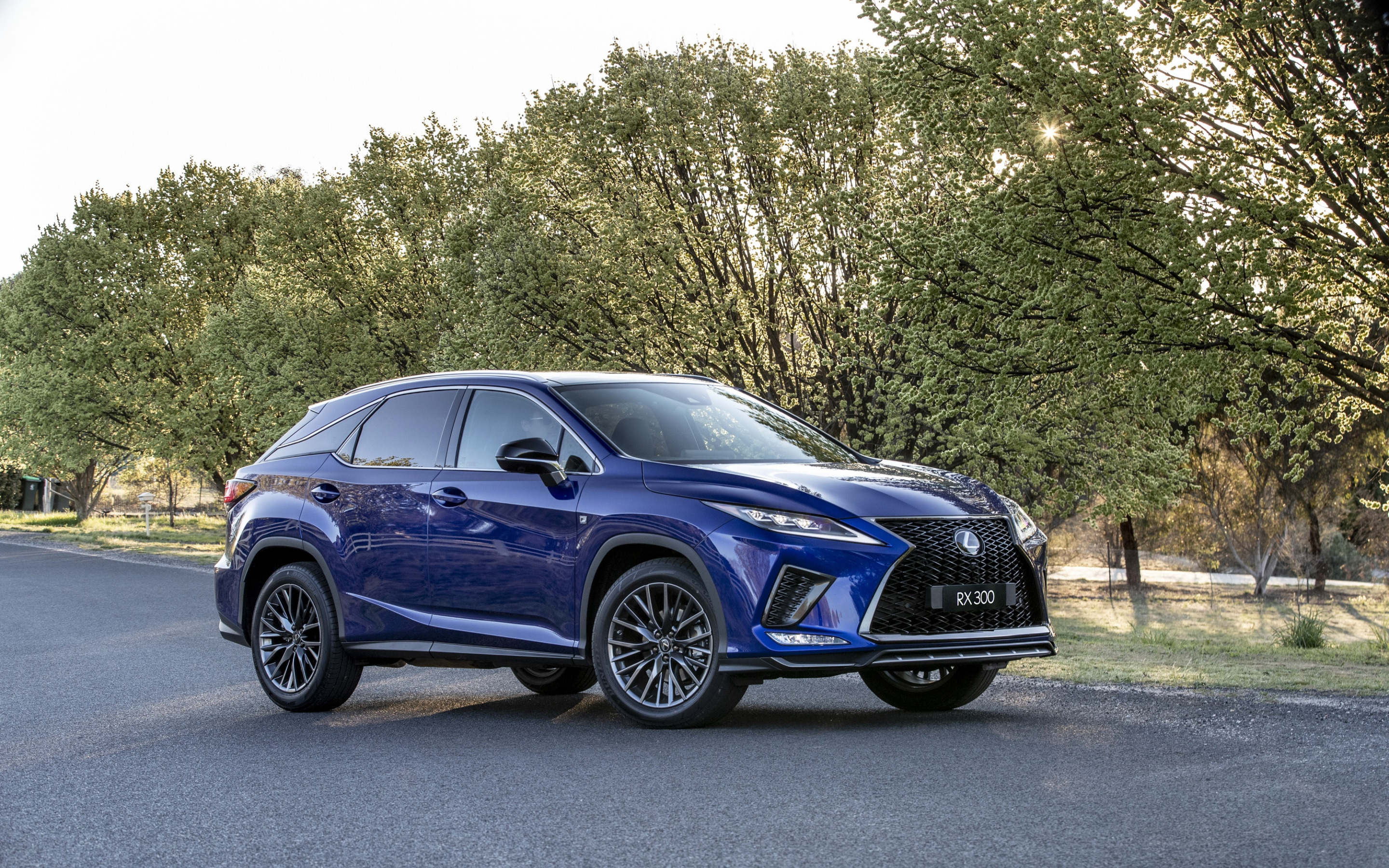 Lexus RX, 2019 model, Blue sports SUV, Japanese luxury car, 2880x1800 HD Desktop
