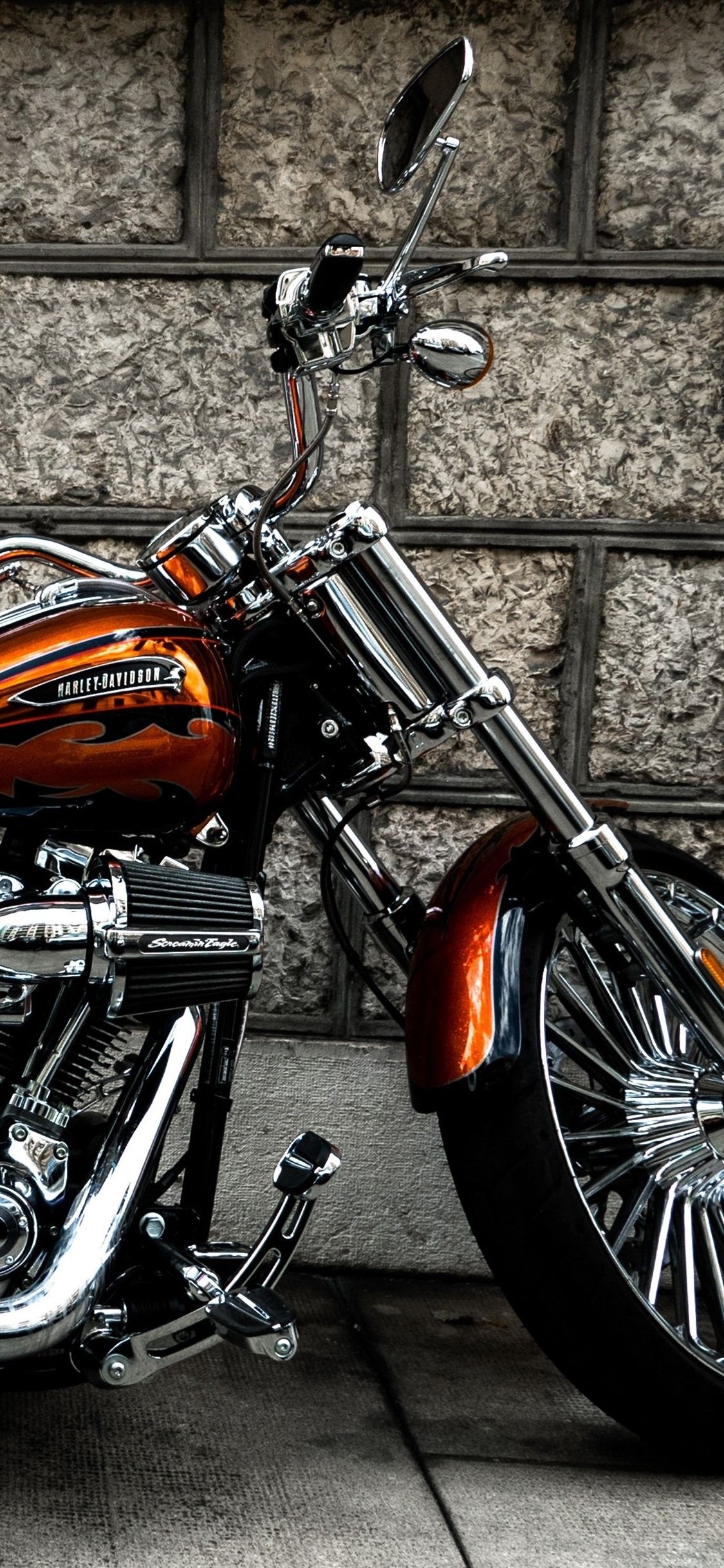 Harley Davidson pin, Collectible item, Harley enthusiasts, Biker culture, 1130x2440 HD Phone