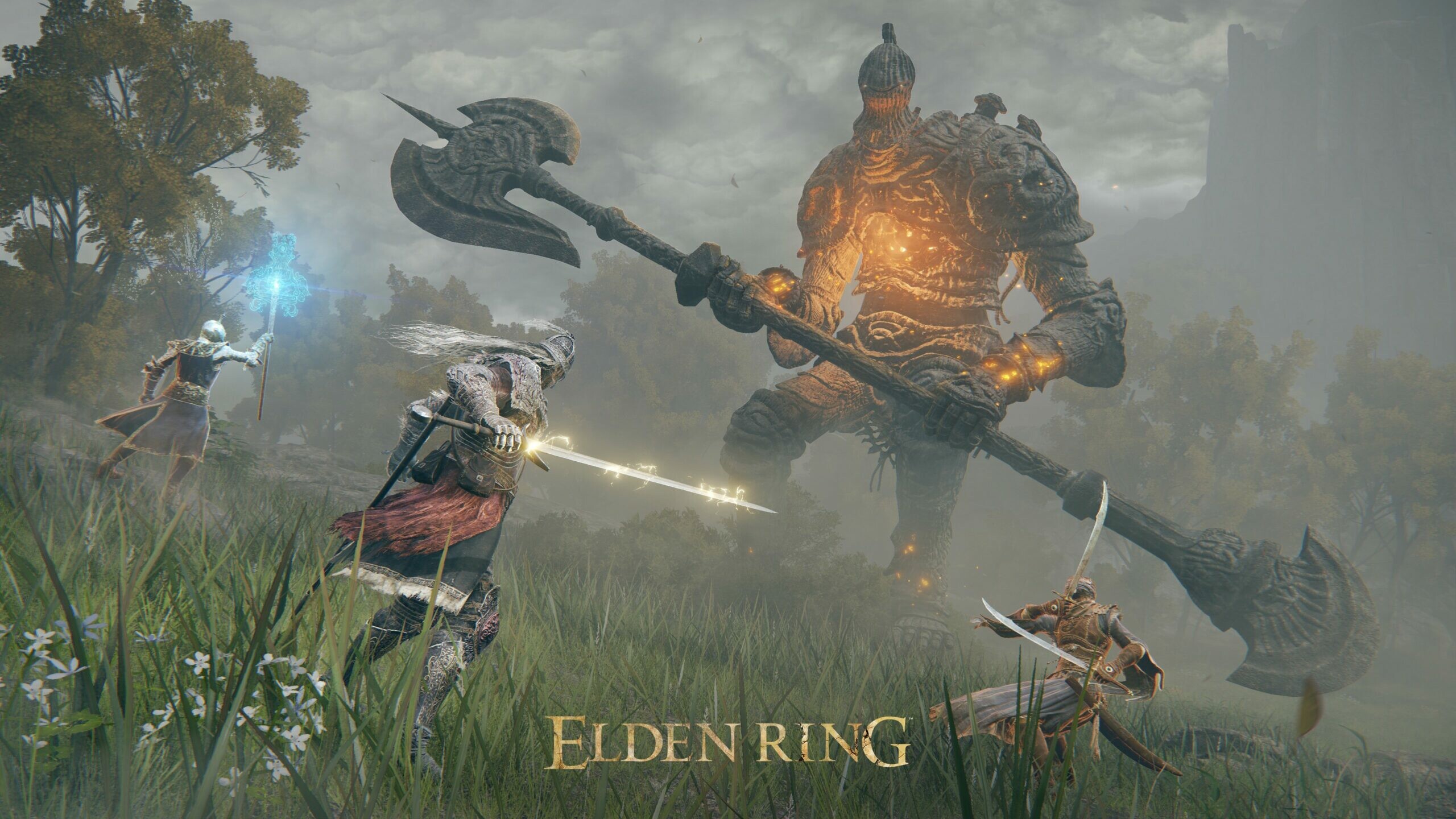 Elden Ring delayed, Beta test update, VGC news, Exciting release announcement, 2560x1440 HD Desktop