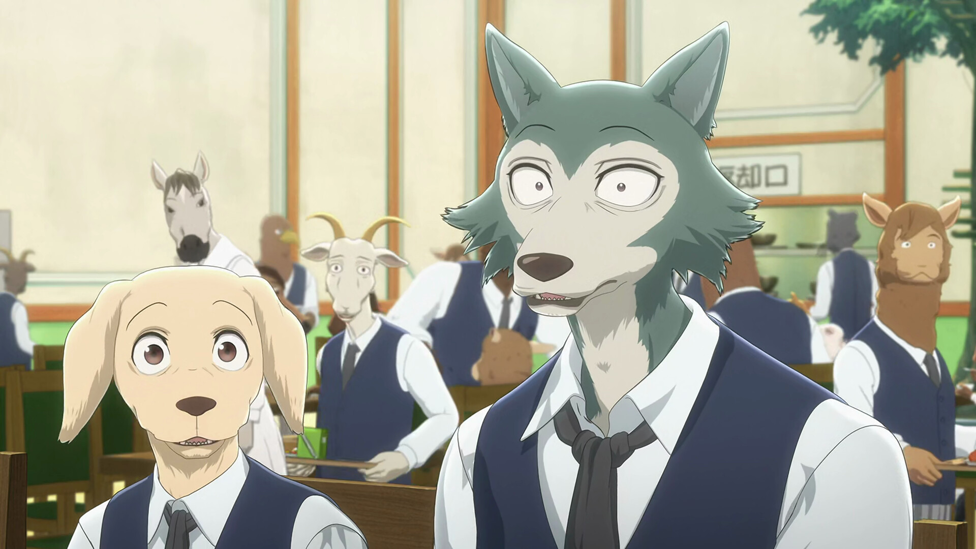 Jack and Legoshi, BEASTARS Wallpaper, 1920x1080 Full HD Desktop